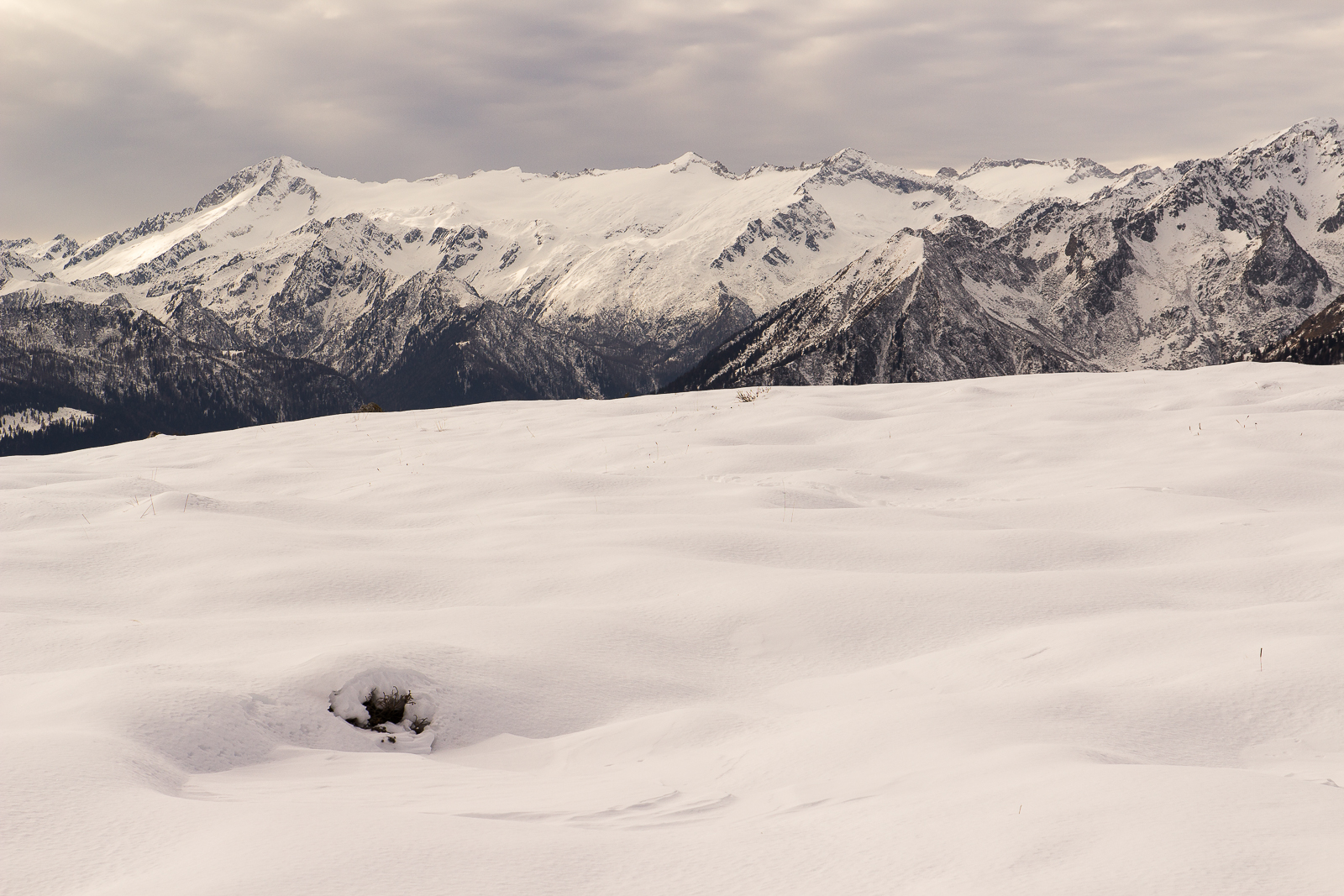 Presanella in versione invernale