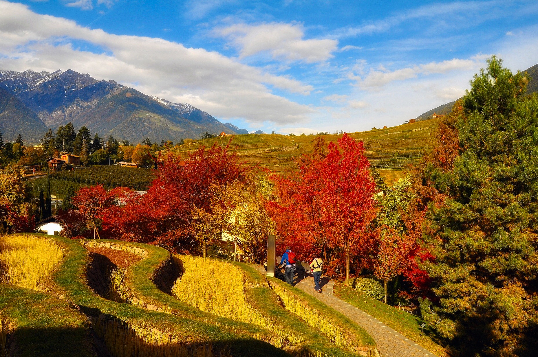 Autumn Landscape in Merano