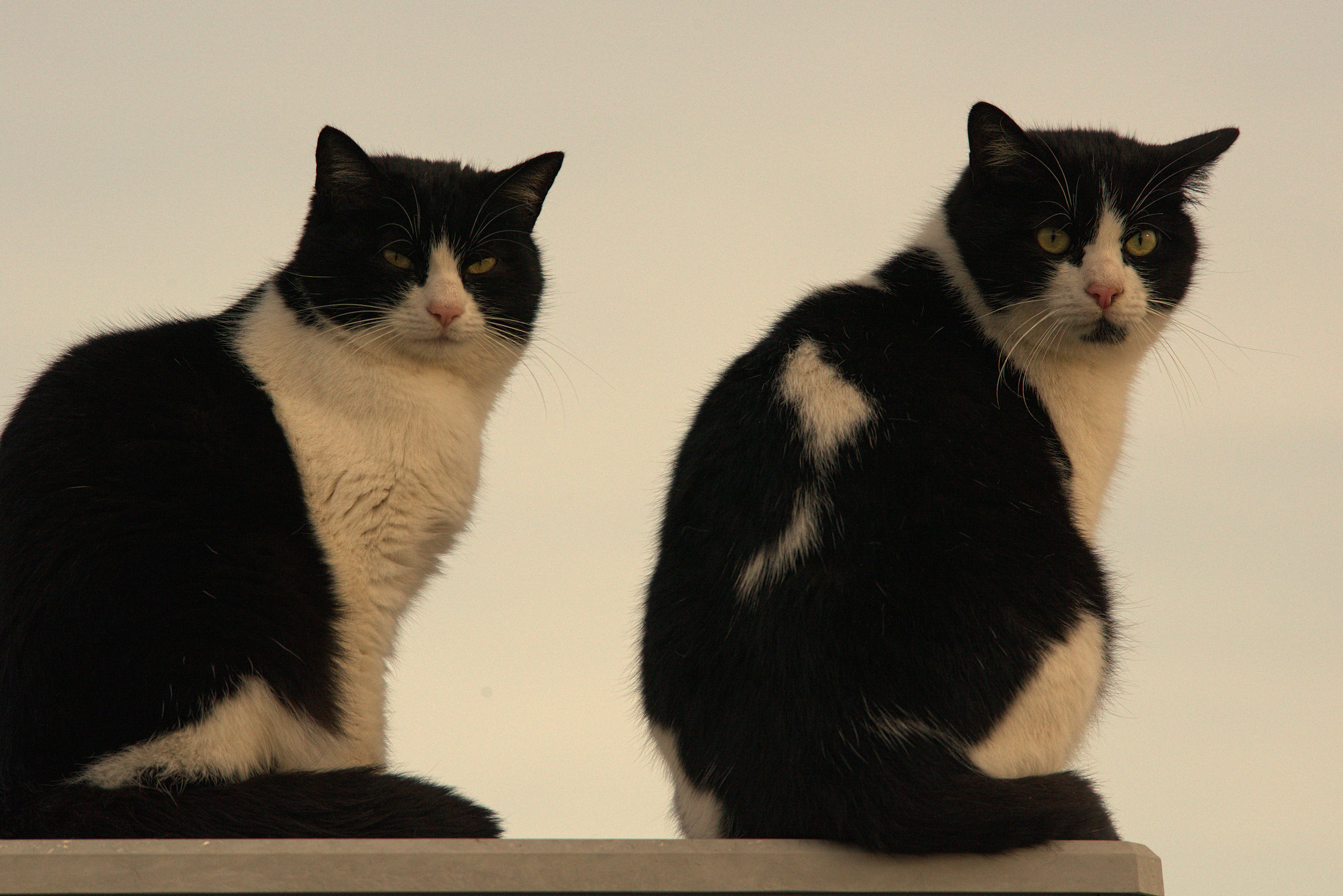 San Benedetto del Tronto