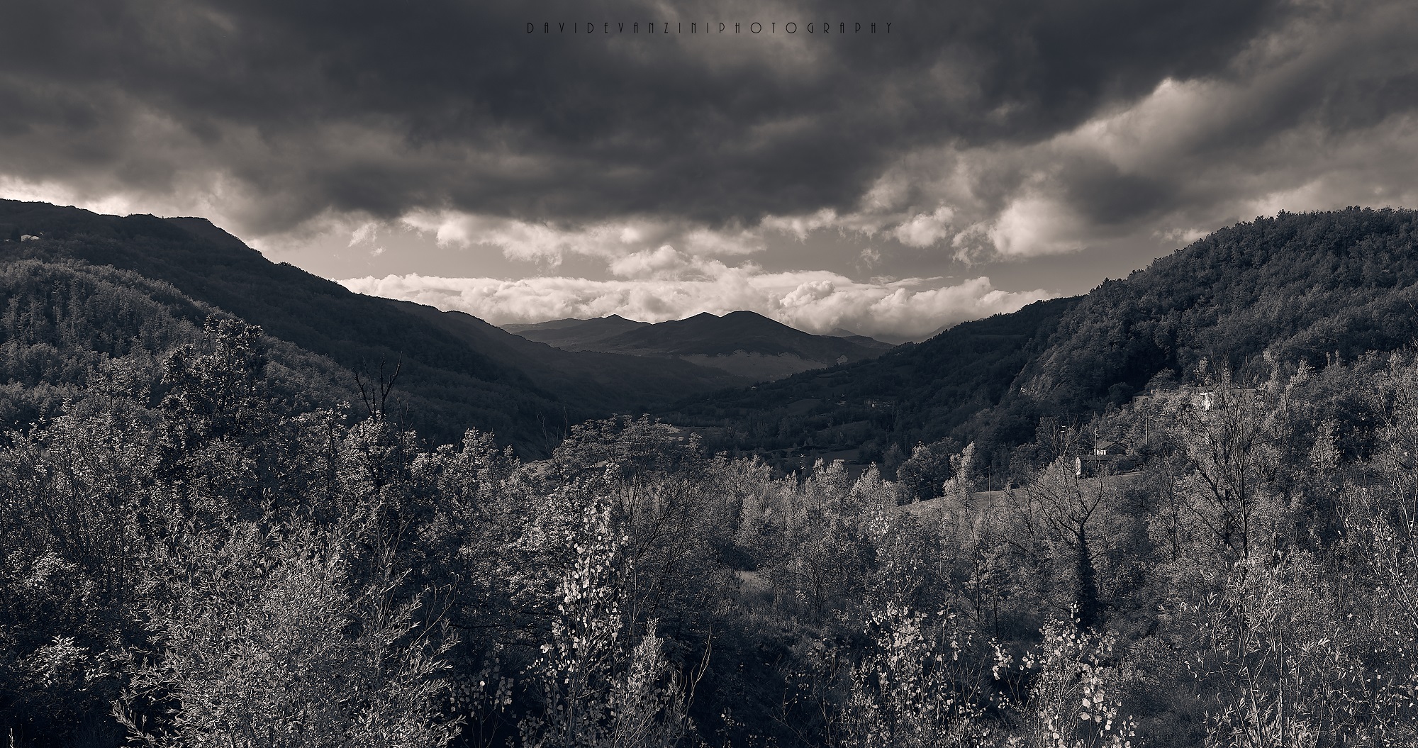 Park of the 100 lakes B&W