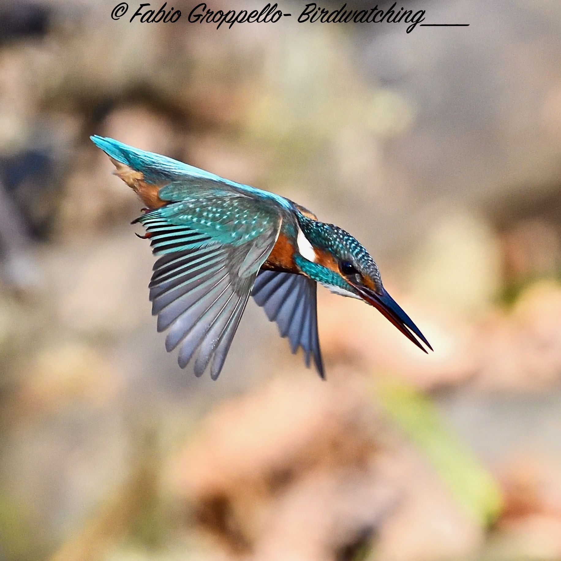 Martina in Picchiata