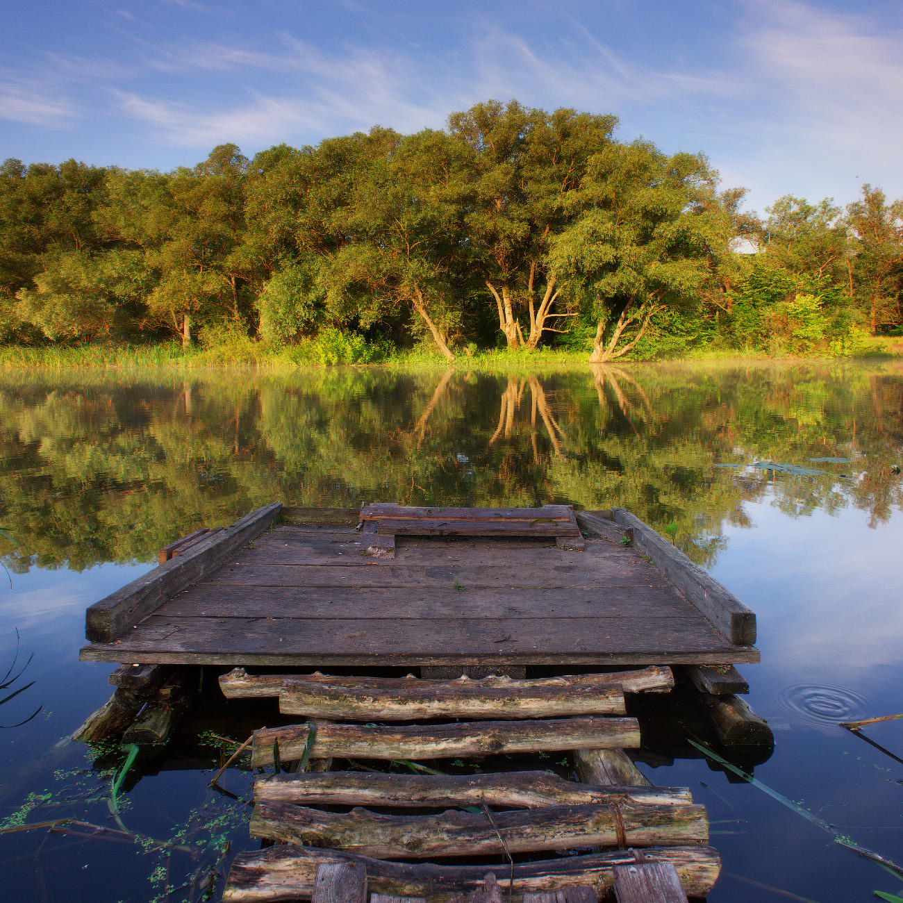 Morning on the river