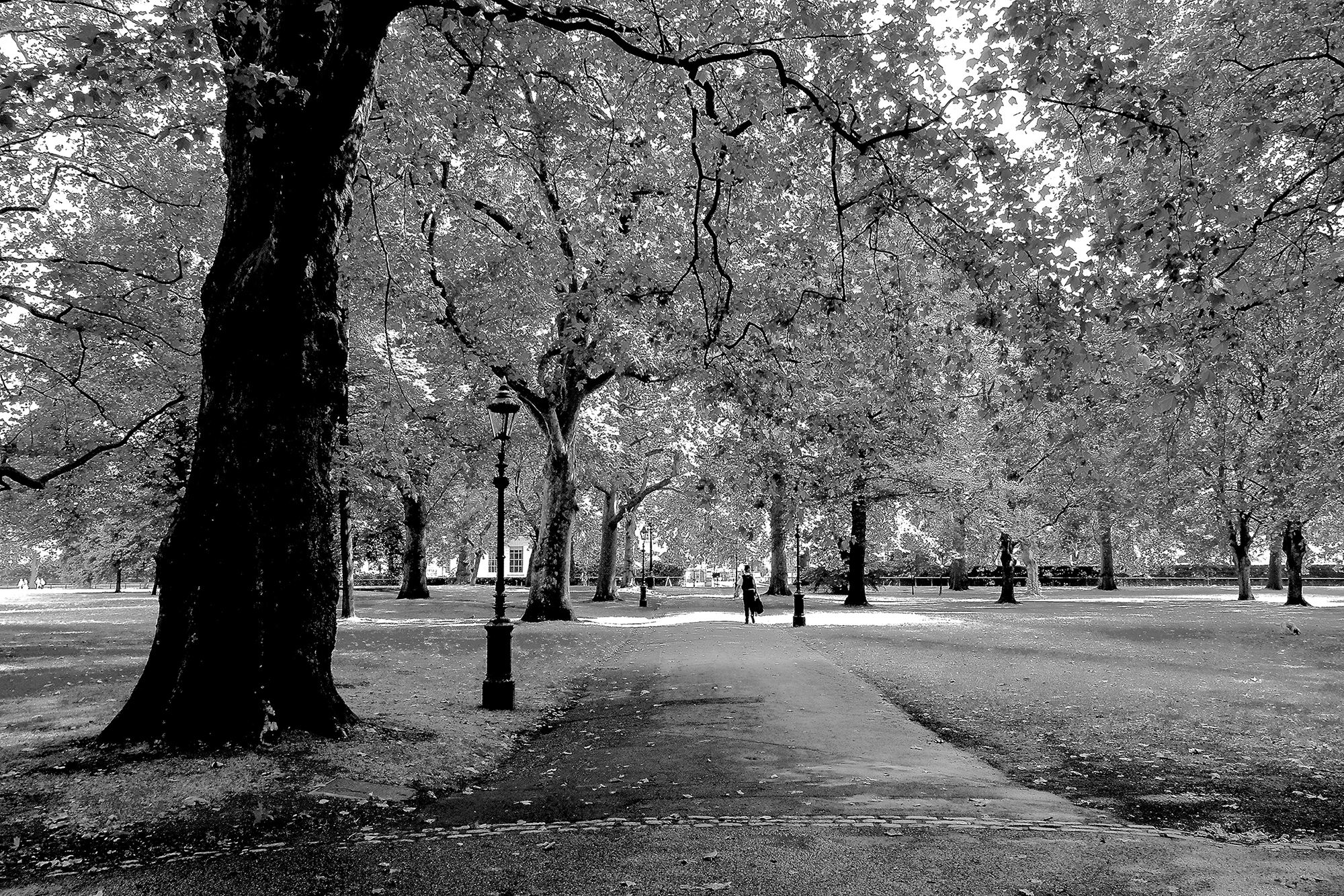 London Park