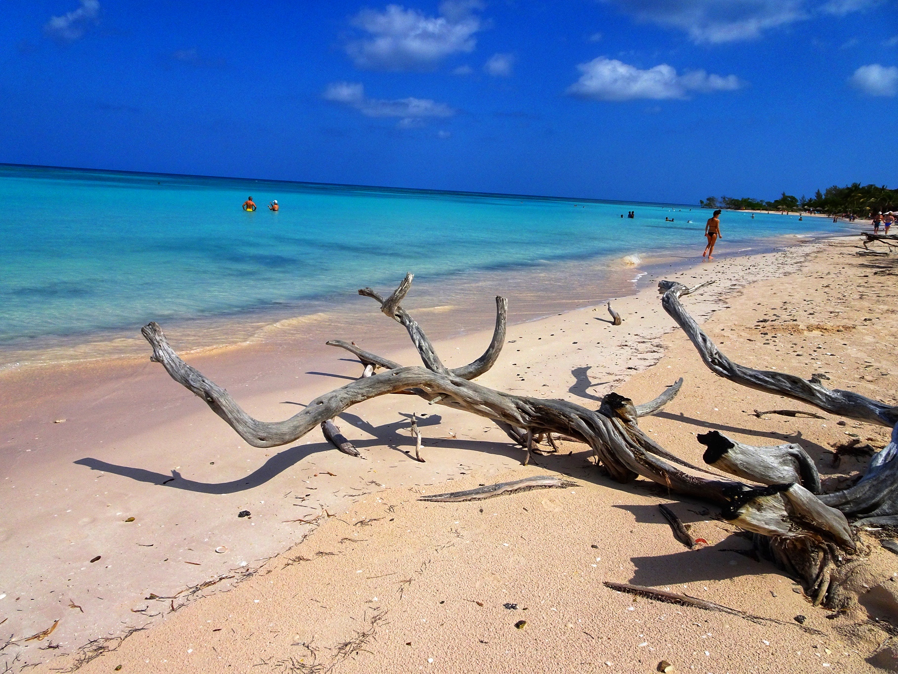 Cayo Jutias ( Cuba )