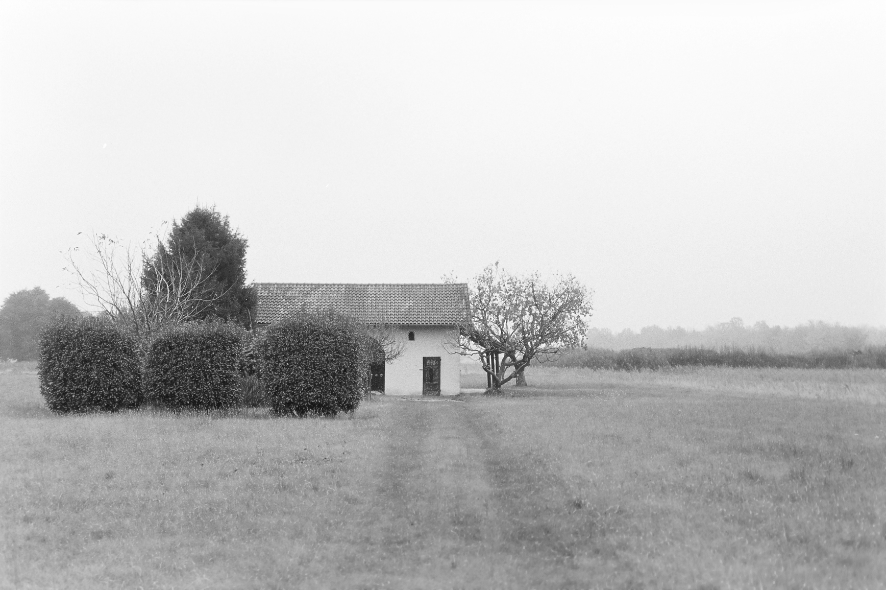 Cascinetta Brianzola.