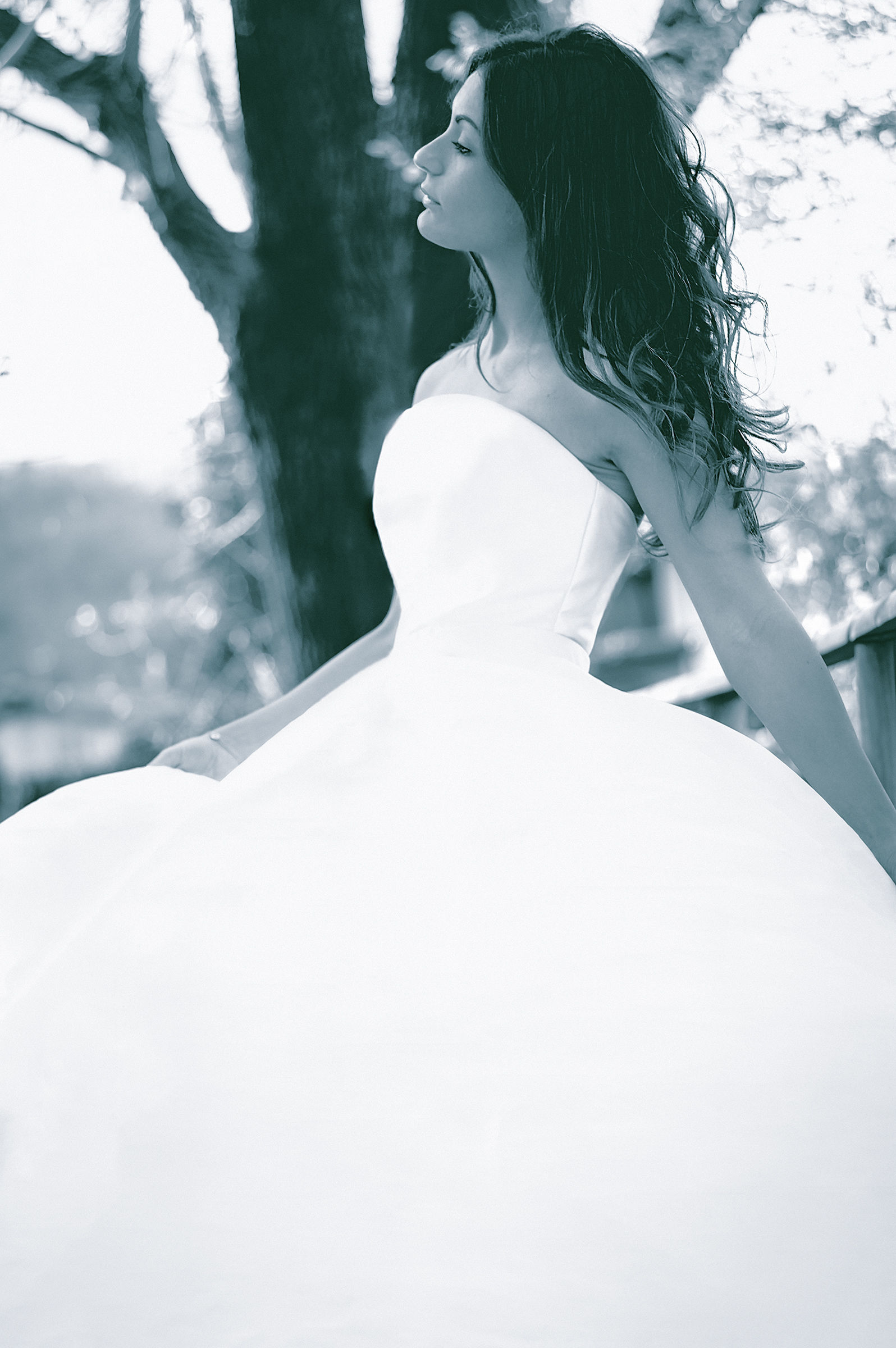 It was White, it was Big, it was a Dream