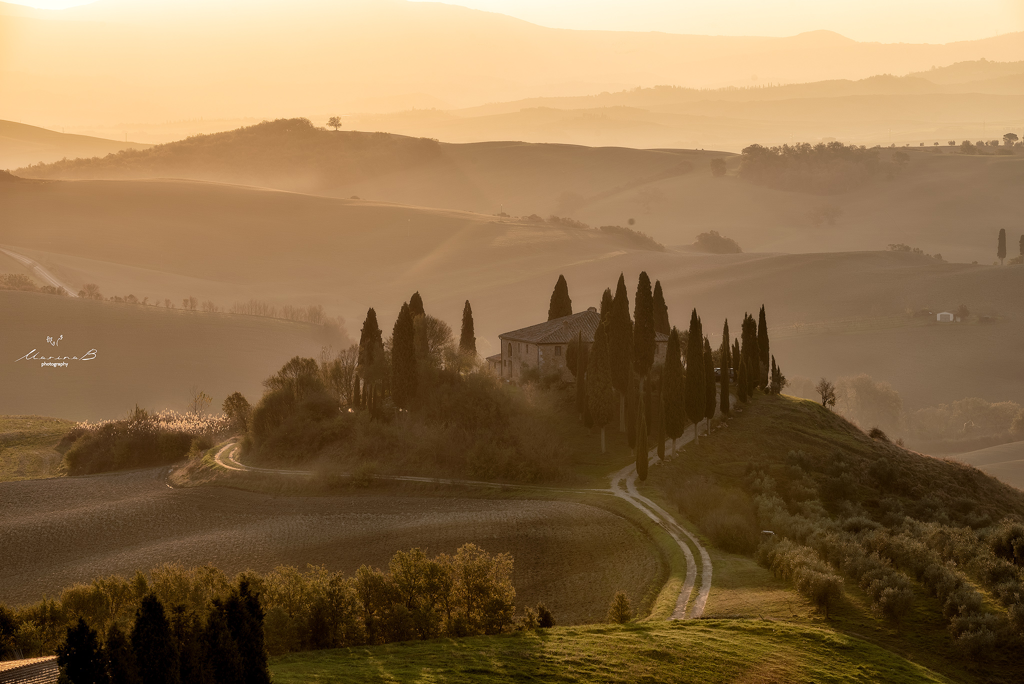 Uner the Tuscan sun