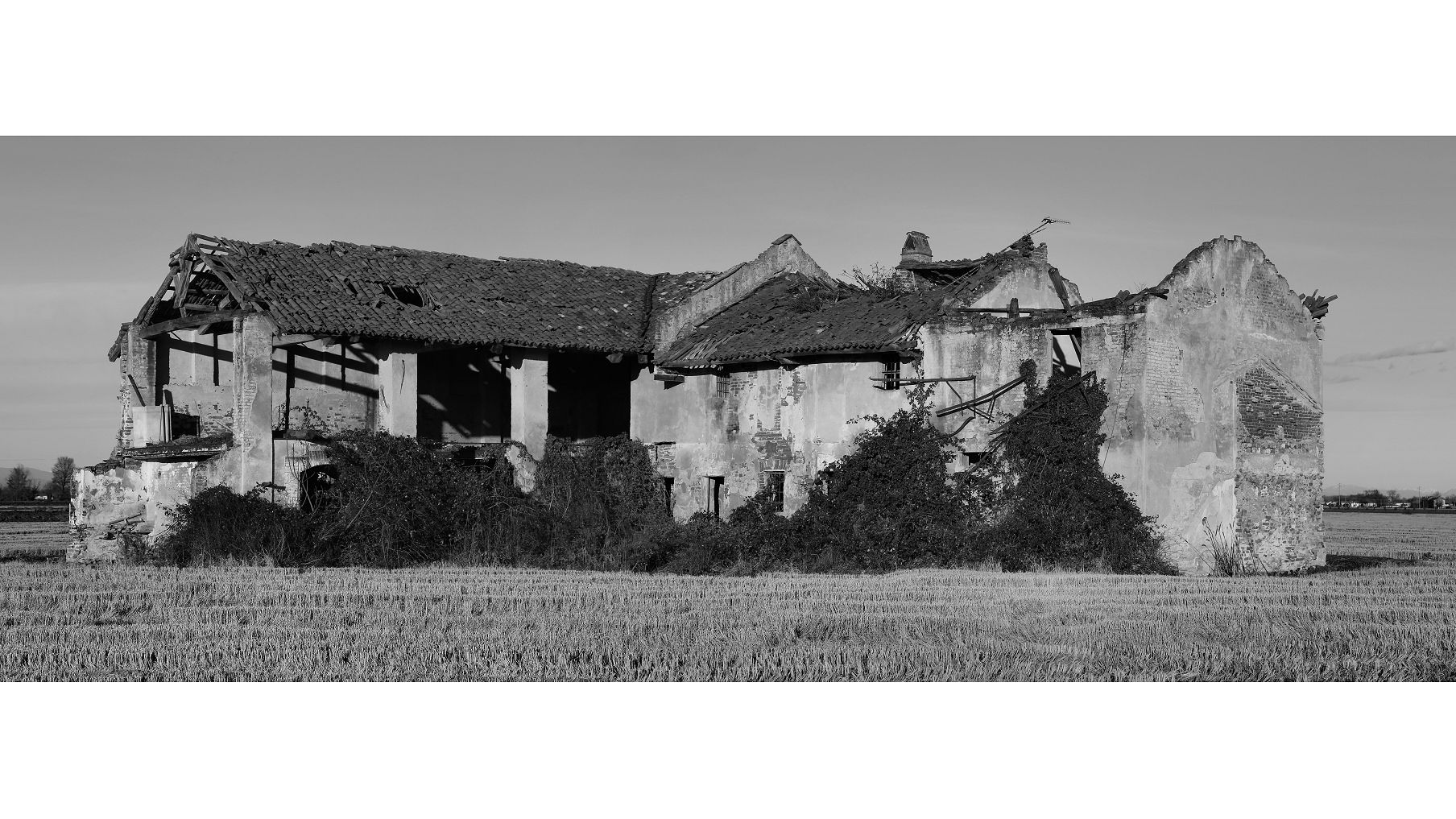 Farmhouse between the rice fields