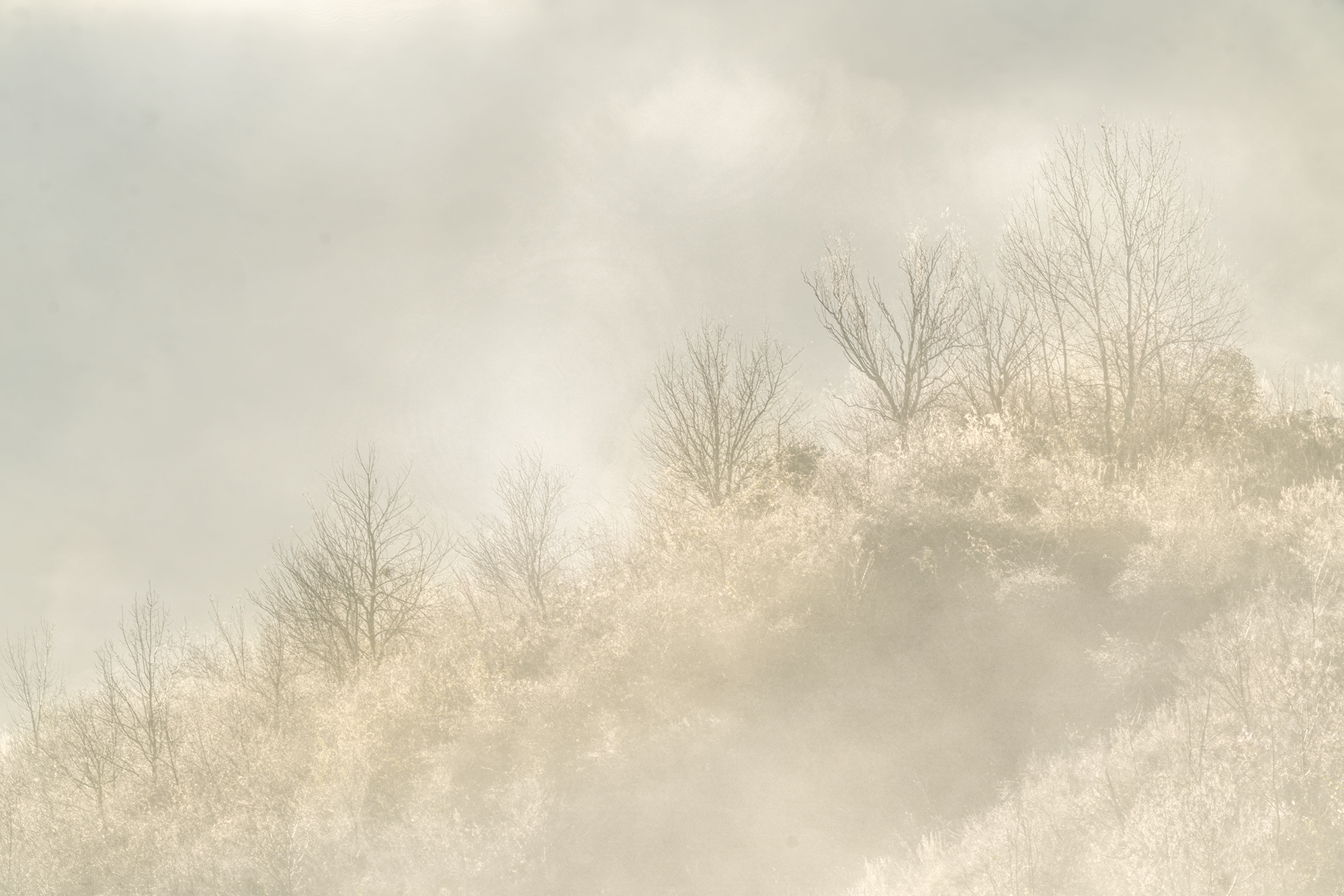Dawn on the Bologna hills in the fog