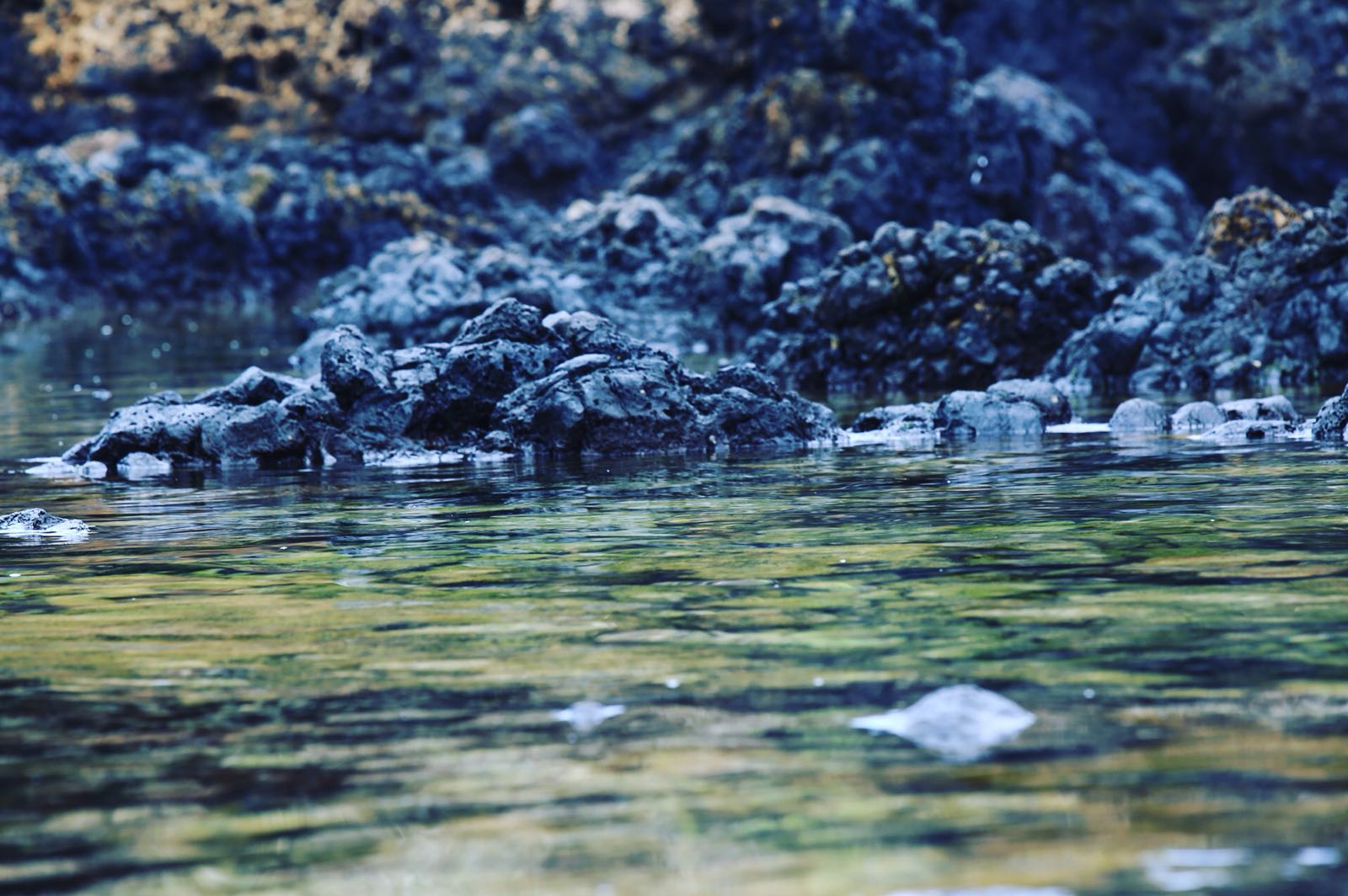 Riserva di colori marini