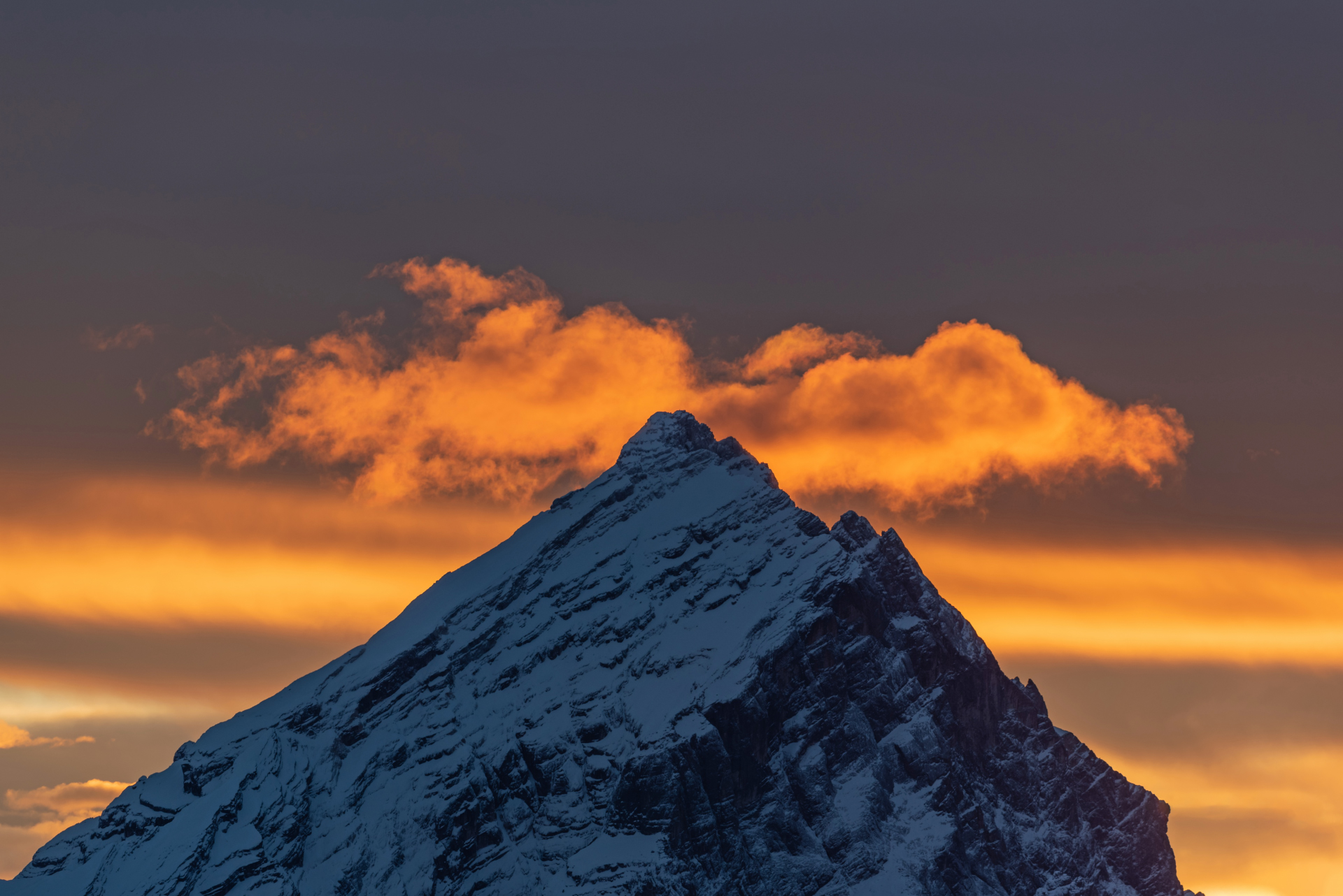 I baffi dell'Antelao