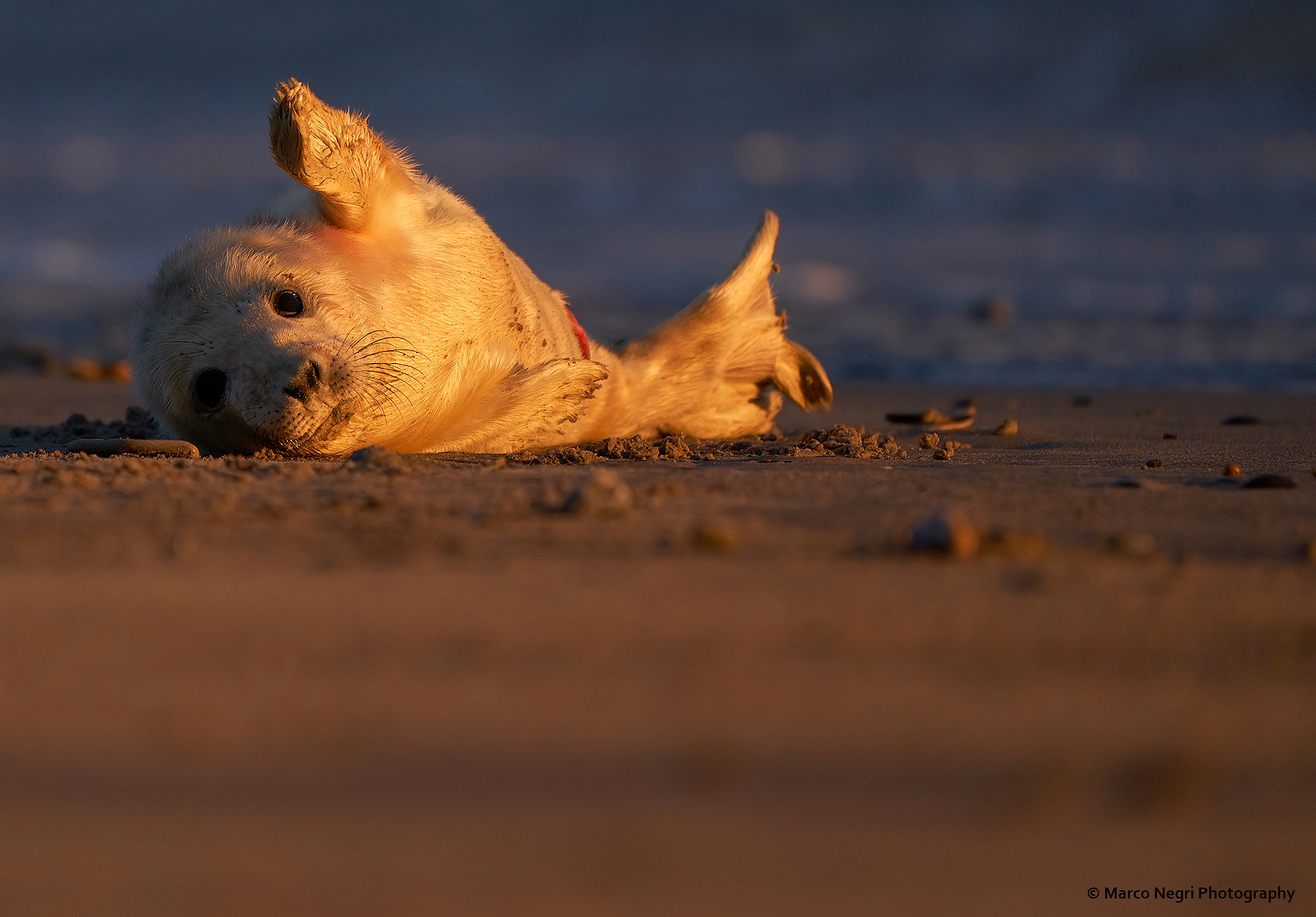 Il primo tramonto...
