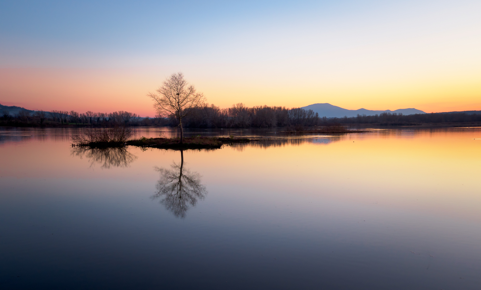 Oasi di Alviano al Tramonto