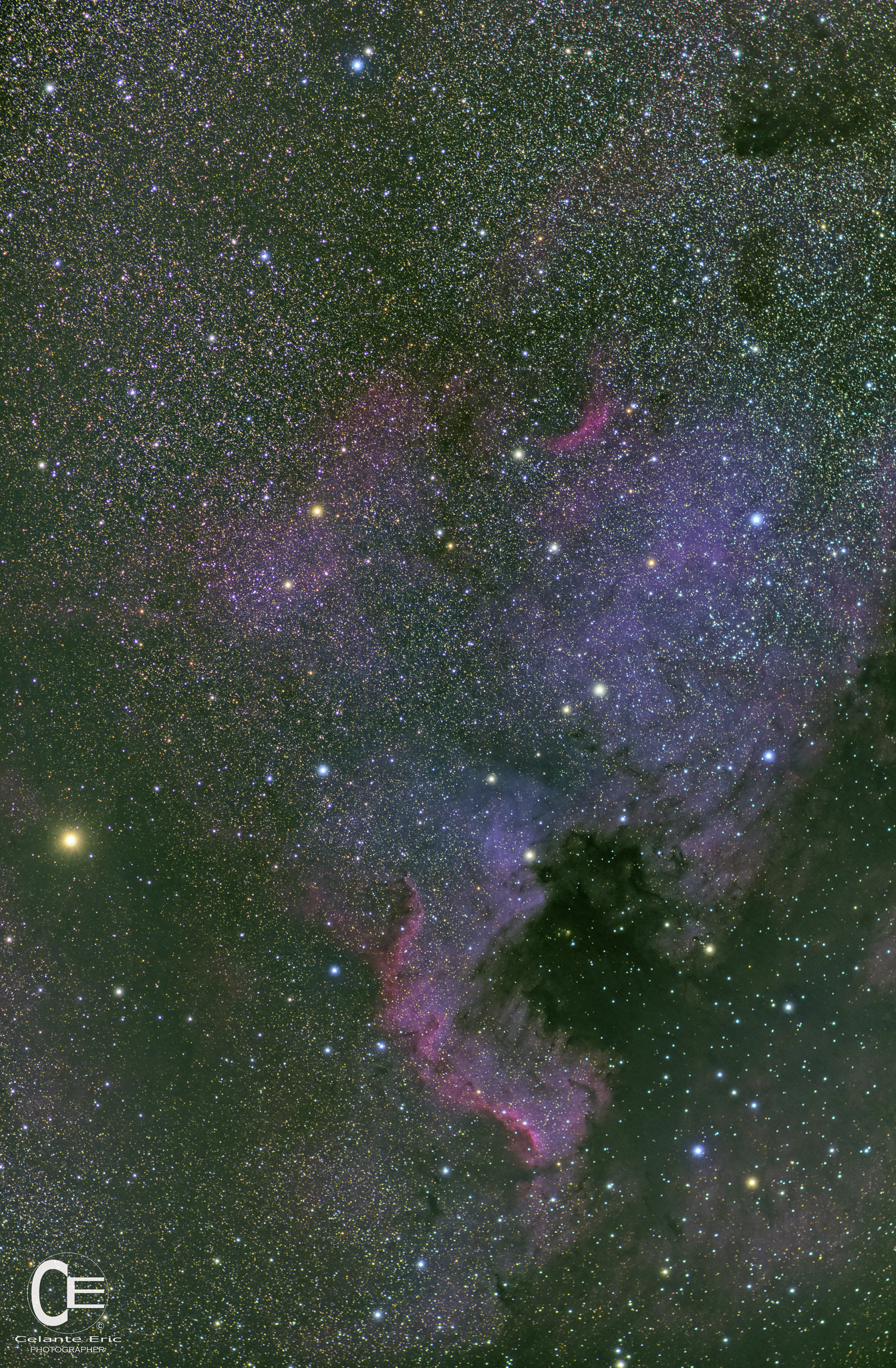 Nebulosa Nord America  NGC 7000