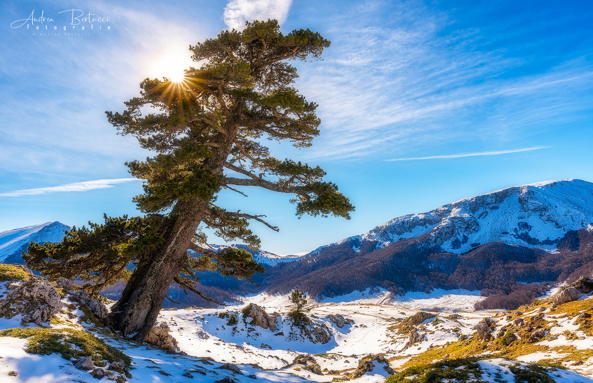 Knocking on Heavens Door