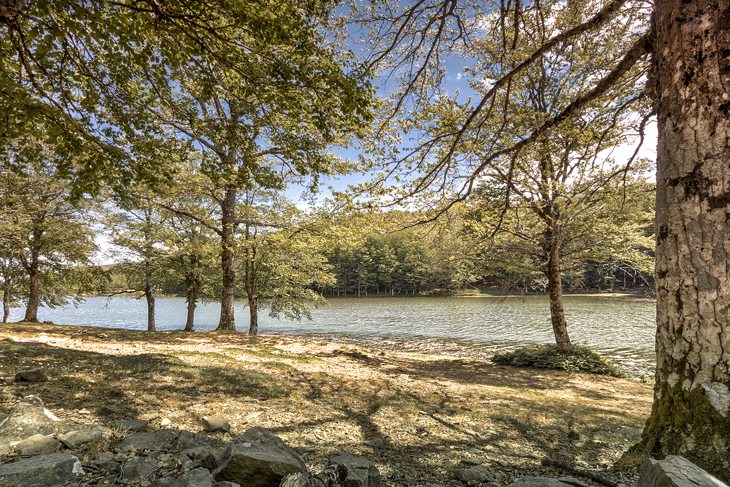 Scorcio Lago Mulazzo - Sanfratello - ME
