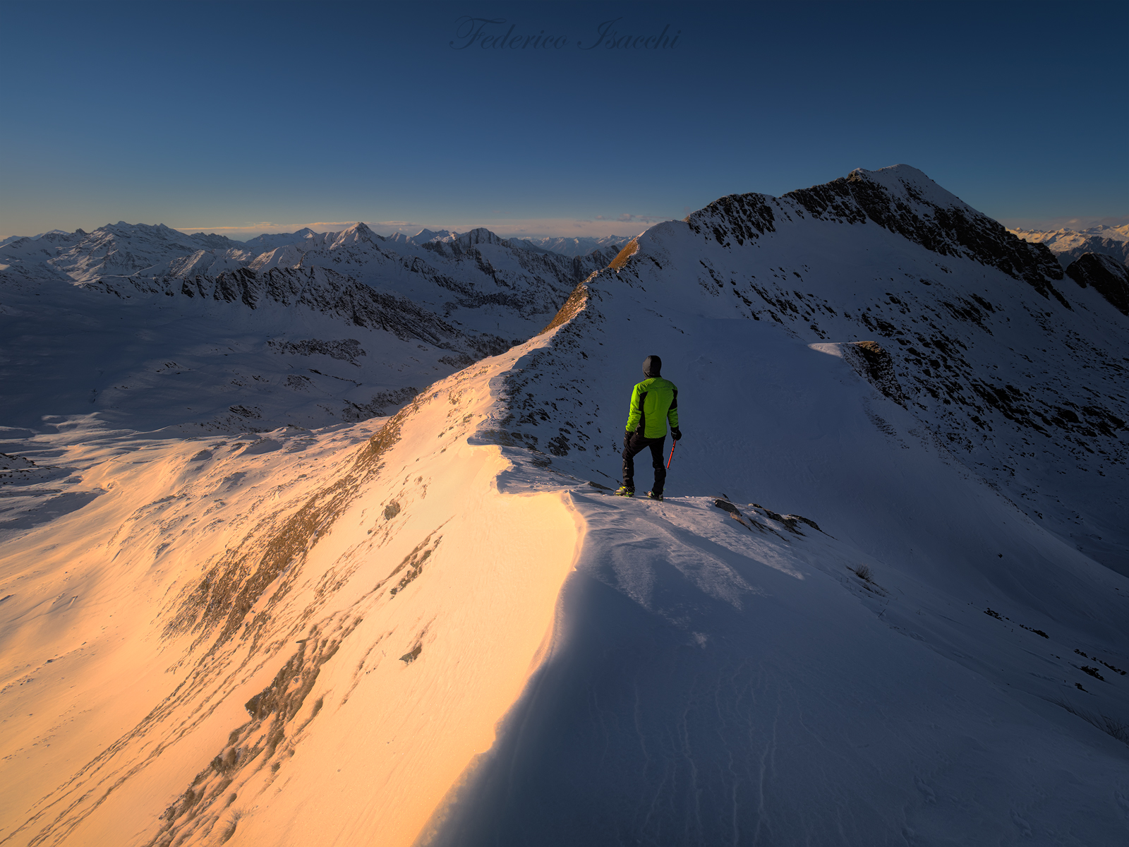 Walk on the Wild Side