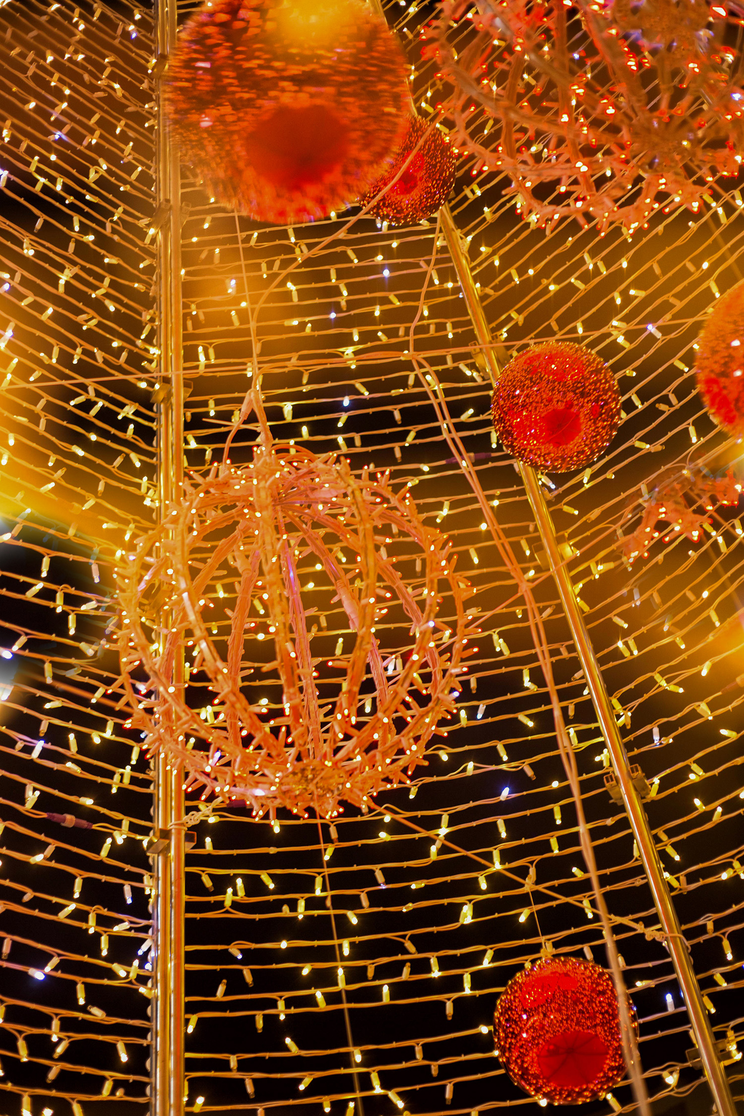 .. I took a leap into the Christmas tree...