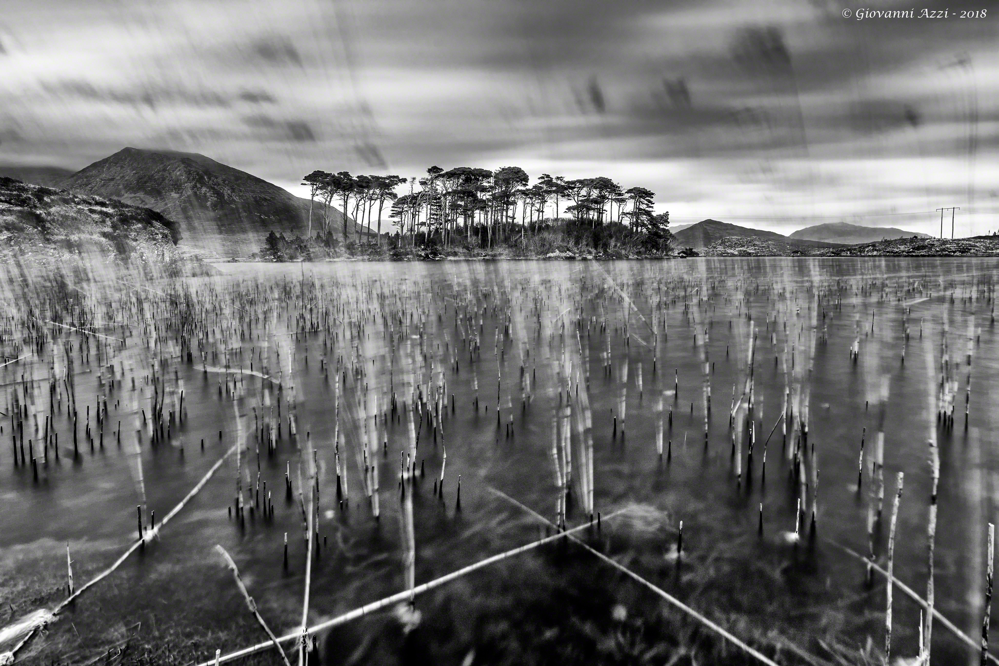 Evening at Pine Trees Island 2 (Black & White version)