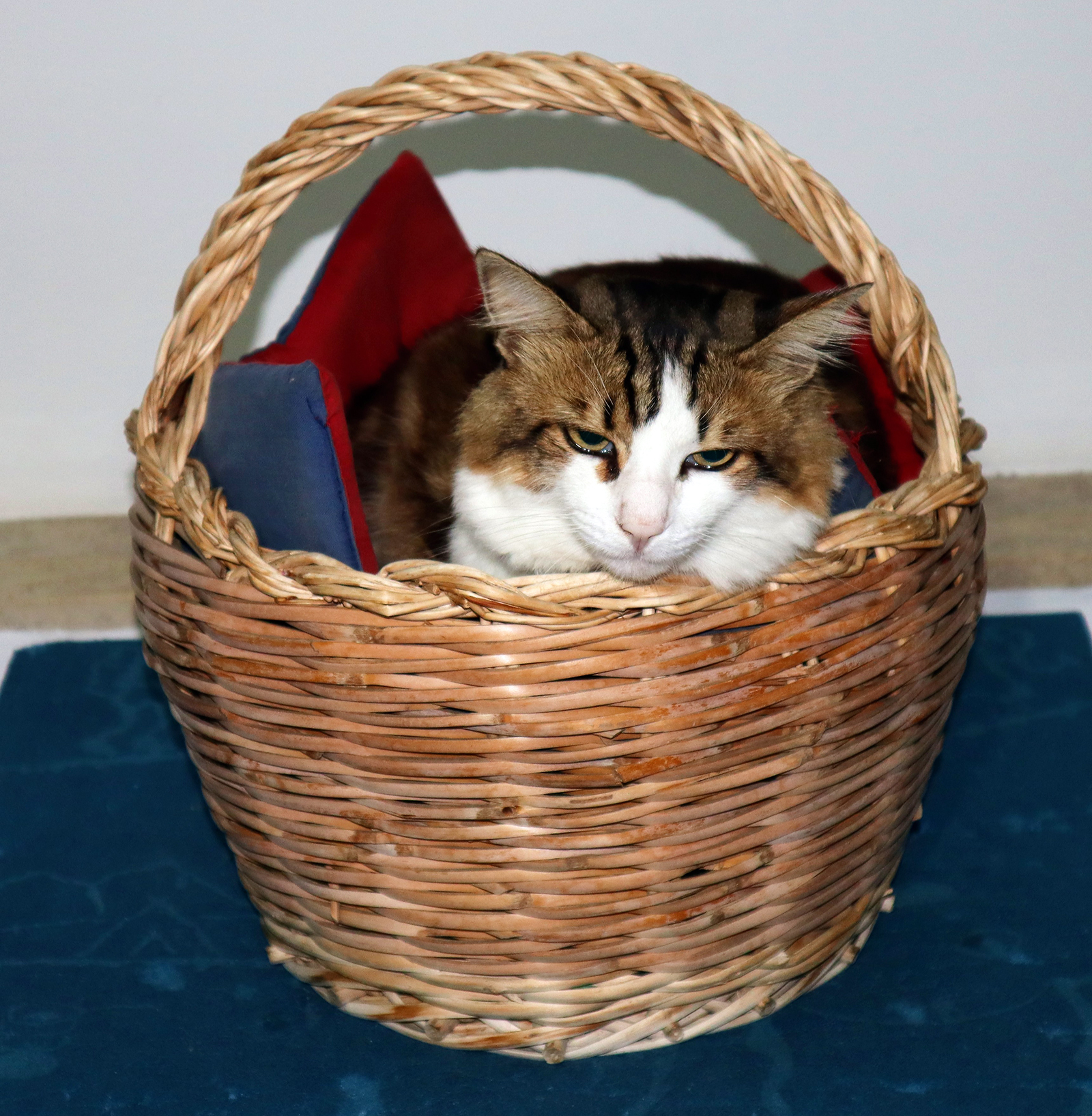 Ehi! Sono qui...non preoccupatevi