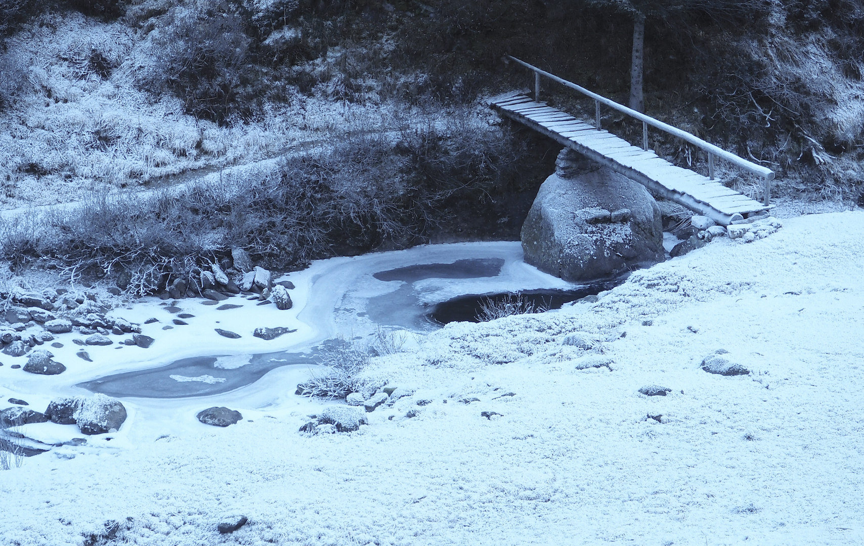 Brrrrr.... that FRECC.... (Color photos)