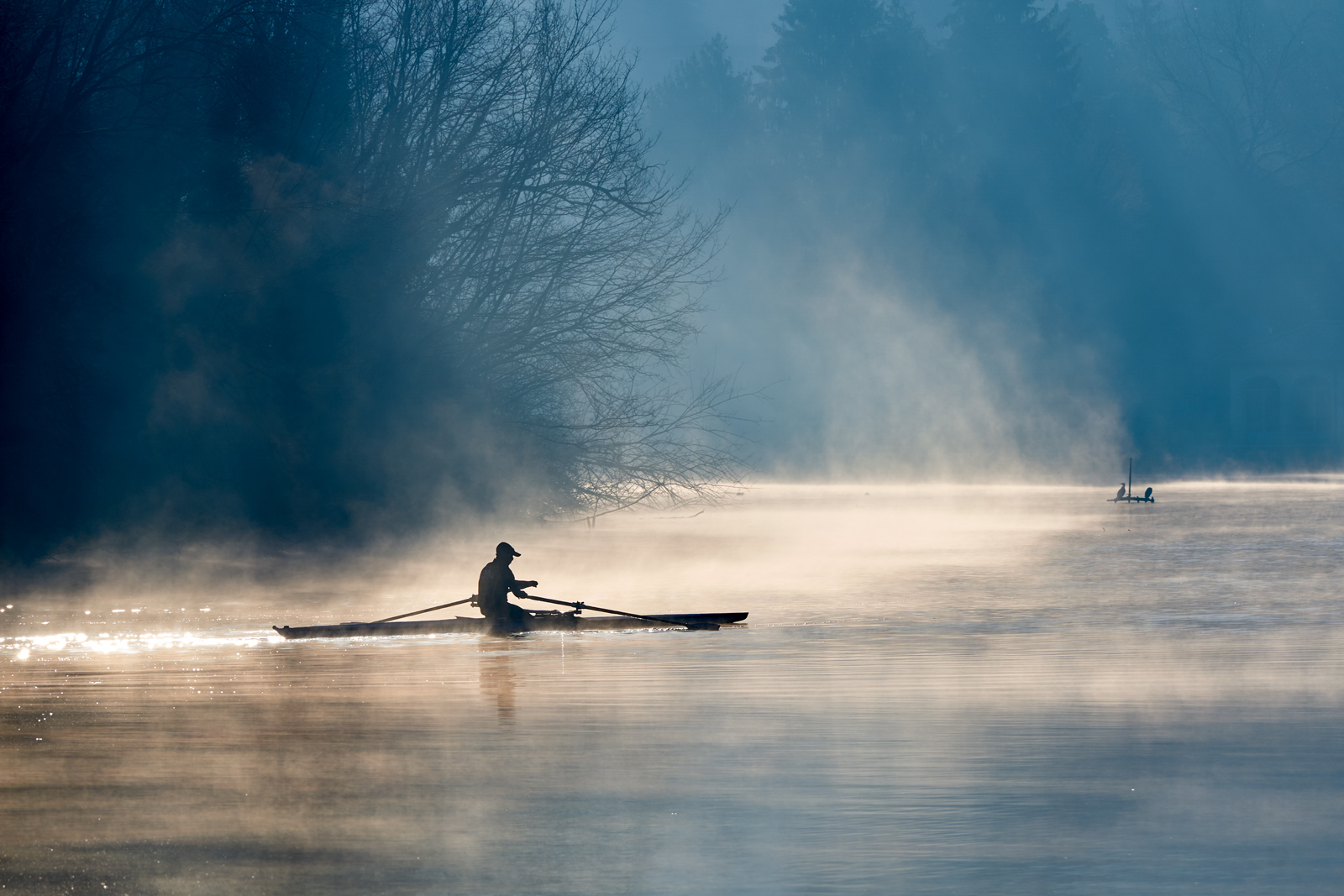 Ci vuole un fisico bestiale