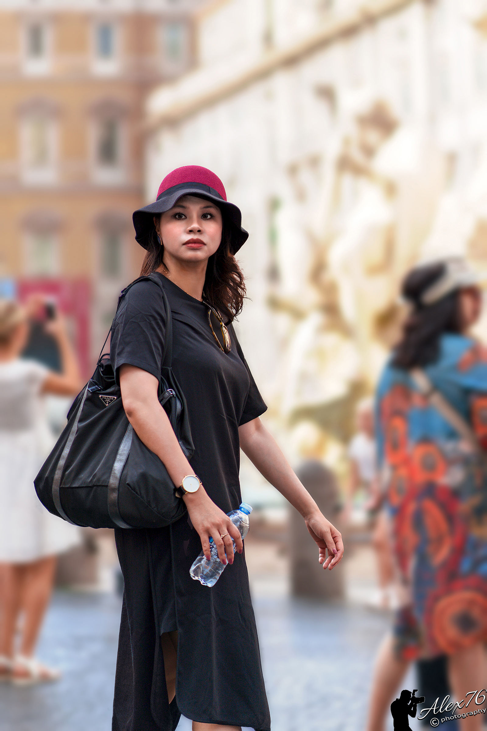 Beauty and elegance of the rising sun