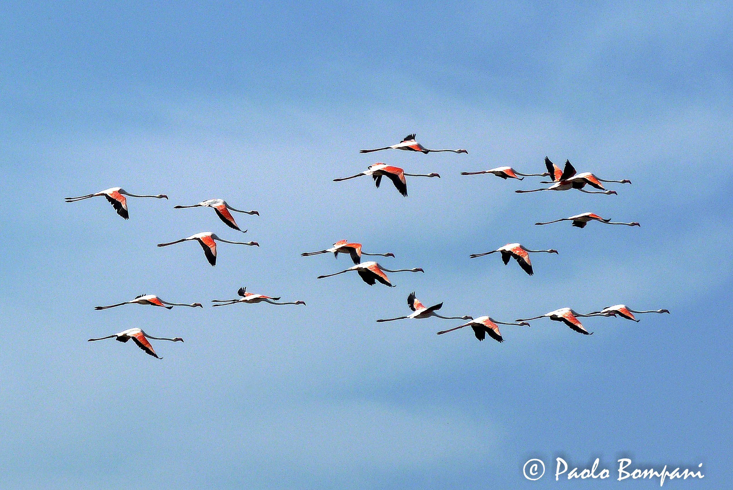 Insieme verso nuovi orizzonti