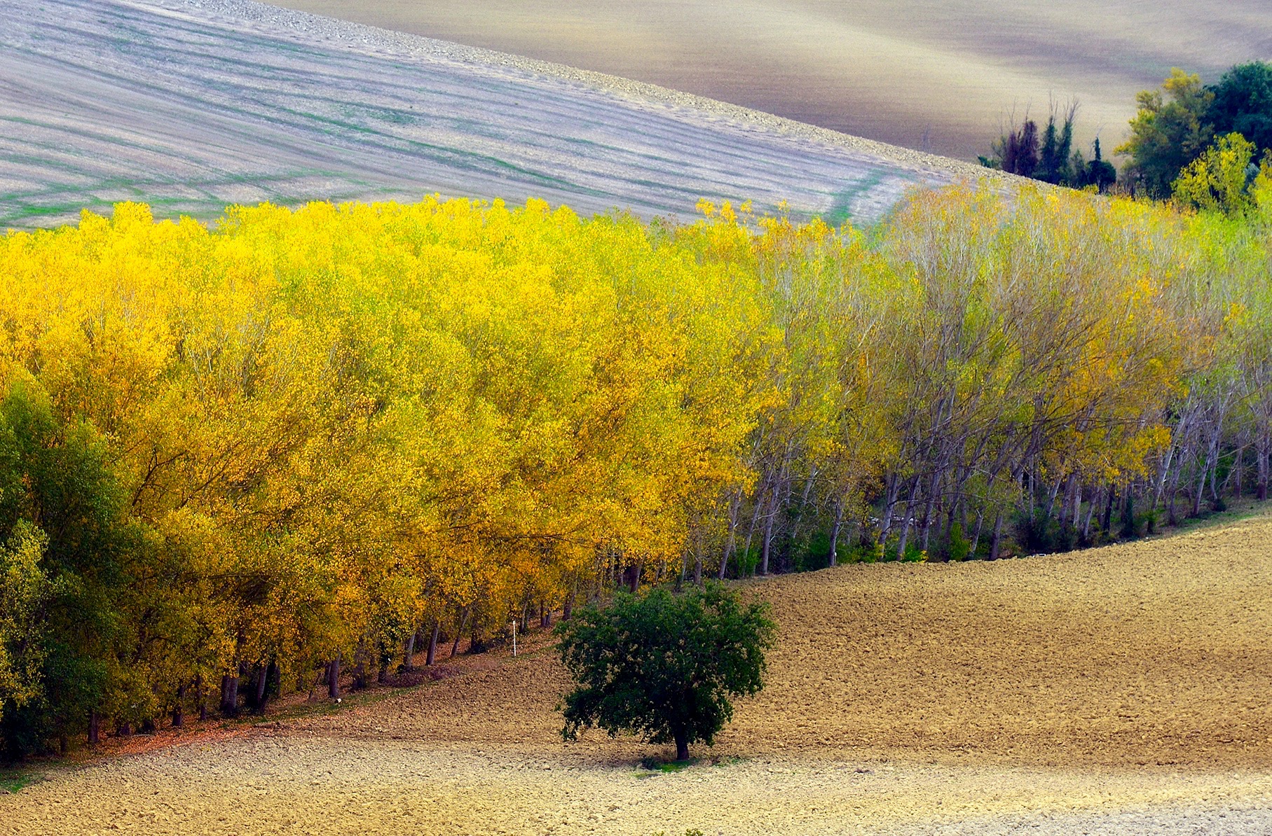 Autumn in Val d'orcia