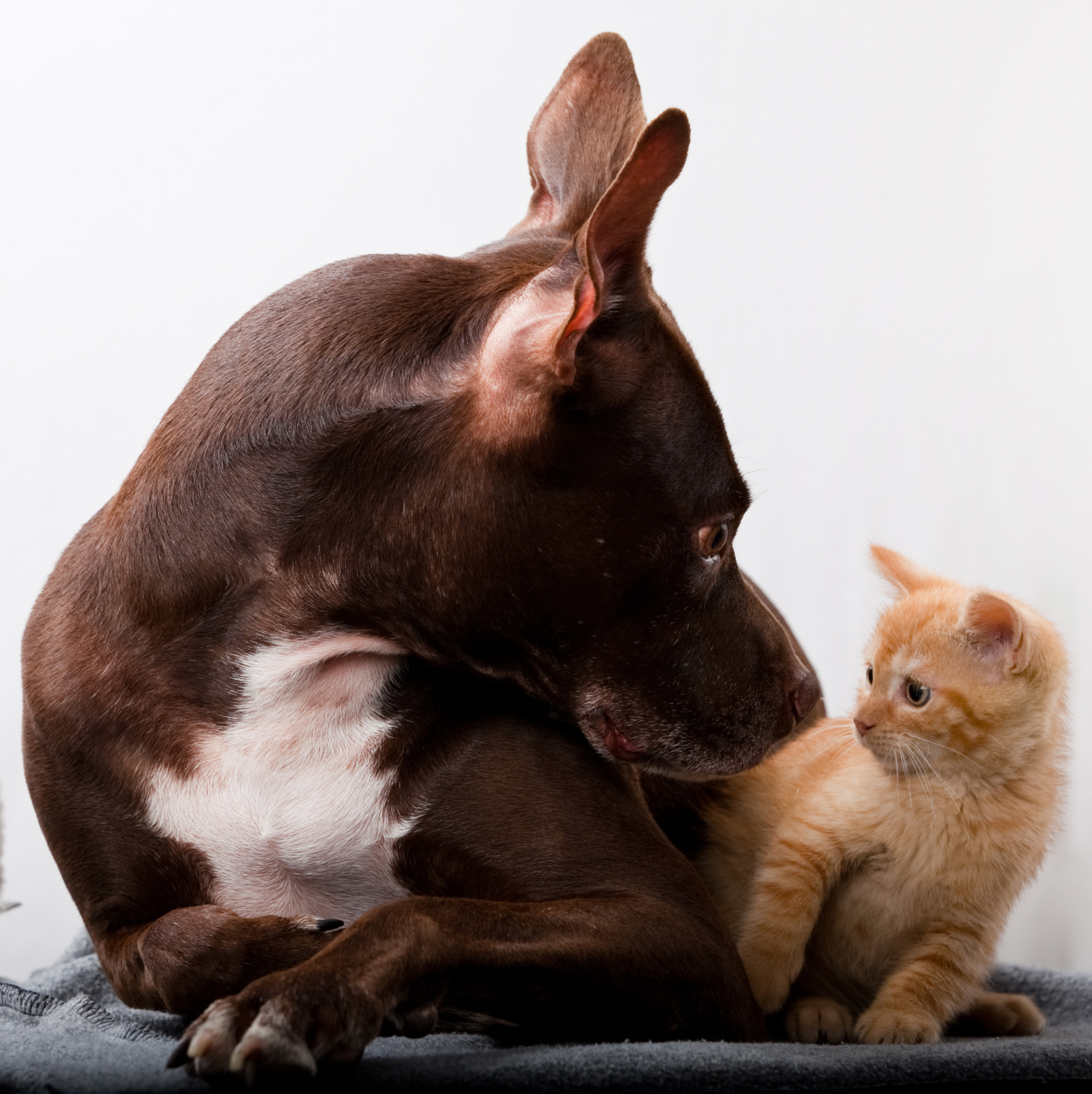 Guardo la morte dritta negli occhi...