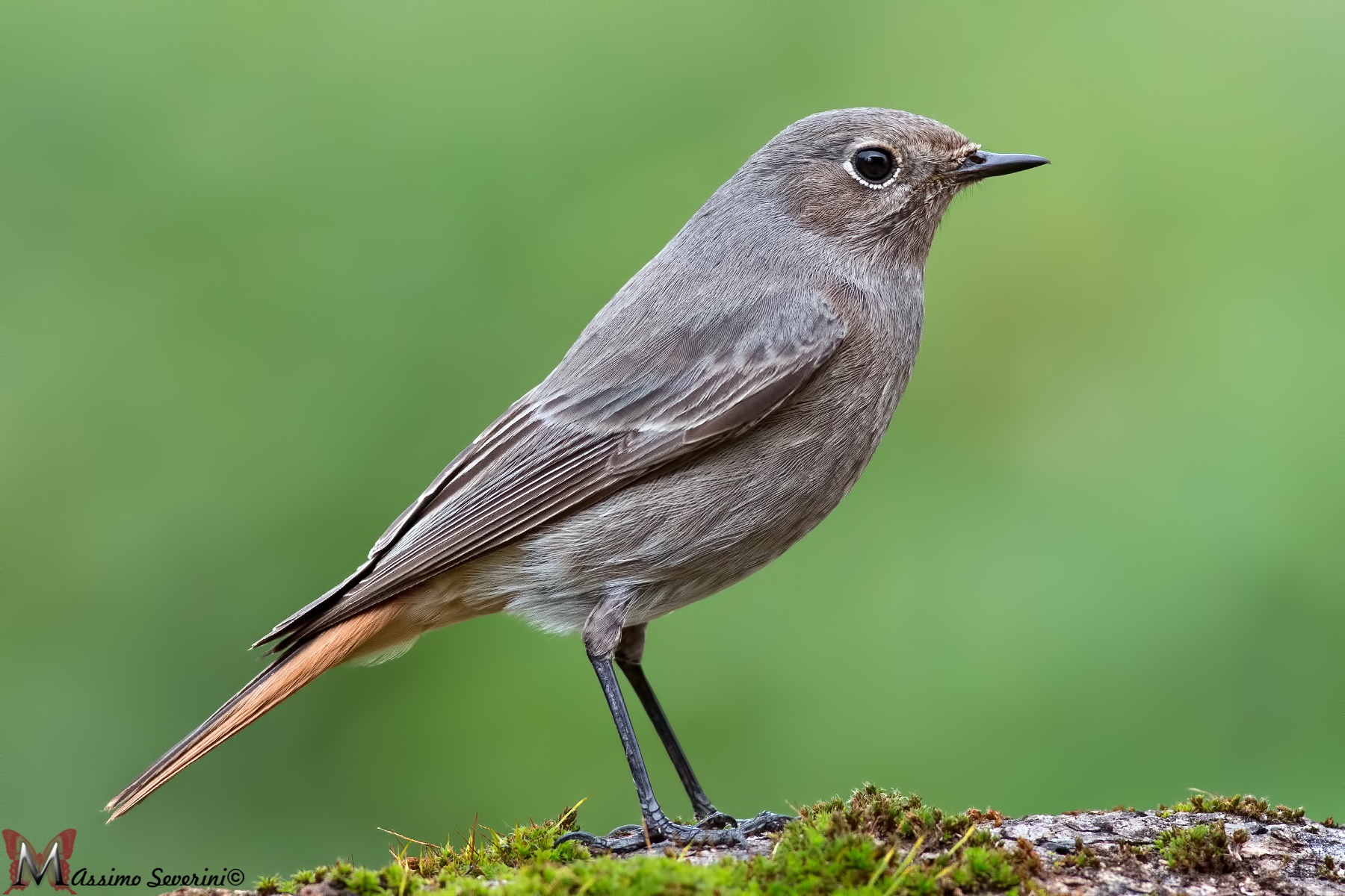 Mettiti Bene in posa. Ok