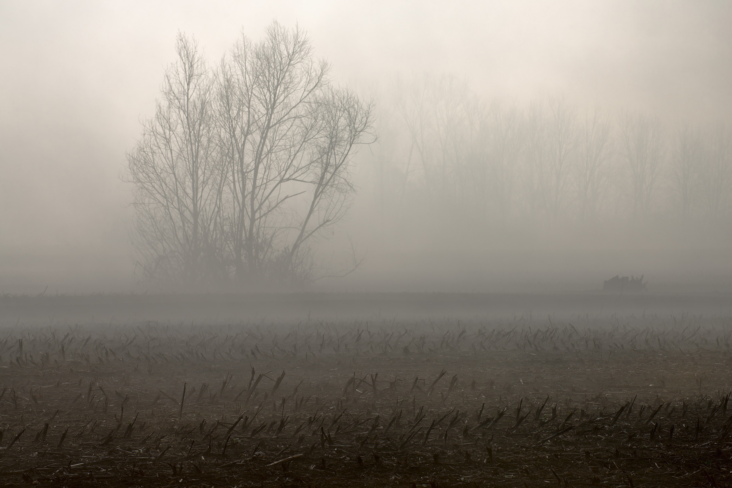 Il respiro della terra