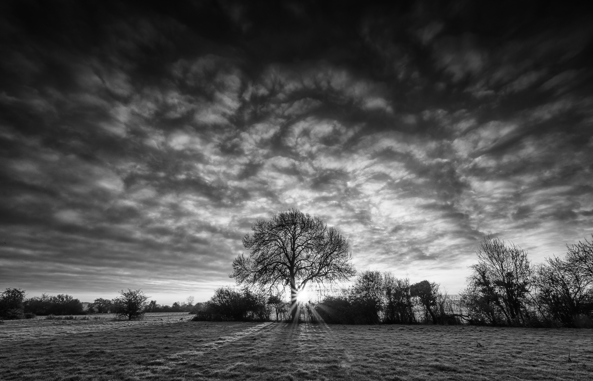 Buongiorno, Sunshine!