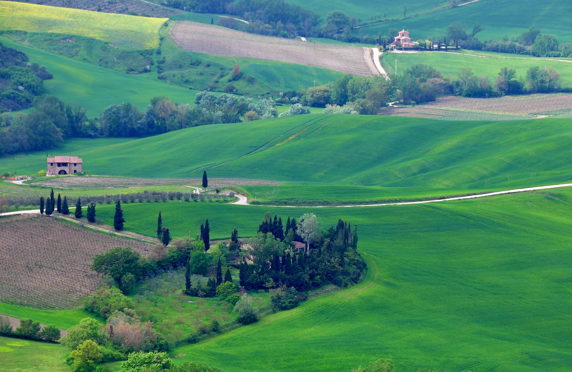 Montepulciano - campagna circostante