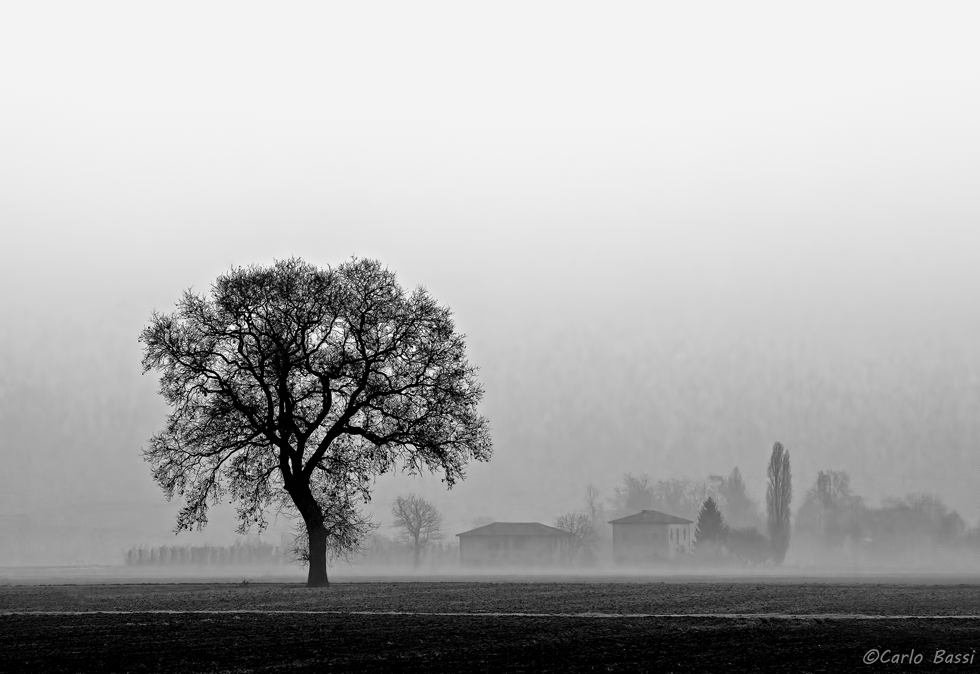 The fascination of fog