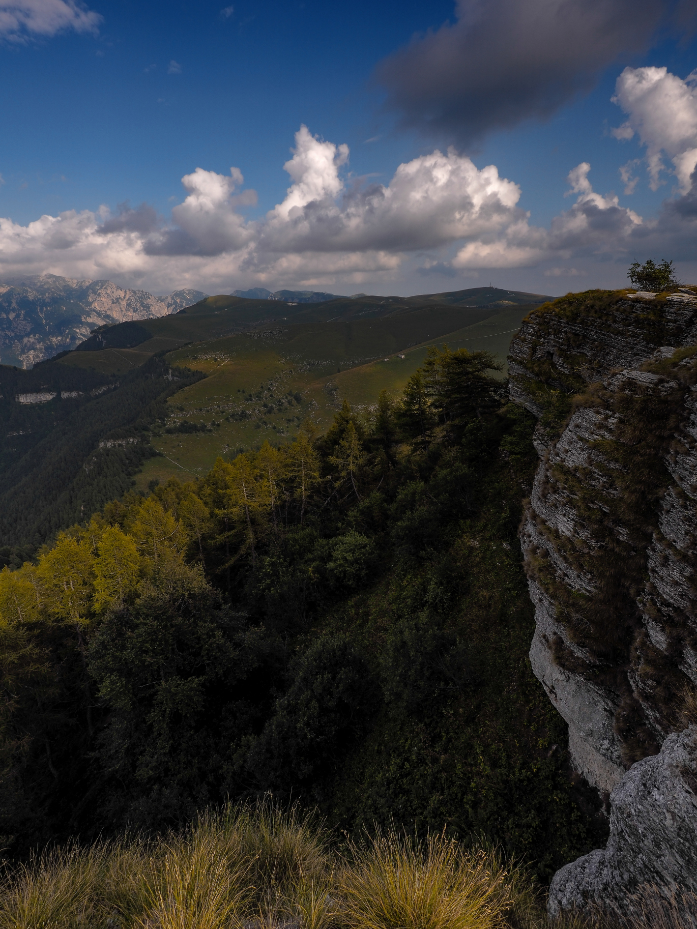 The boundaries of the Lessini