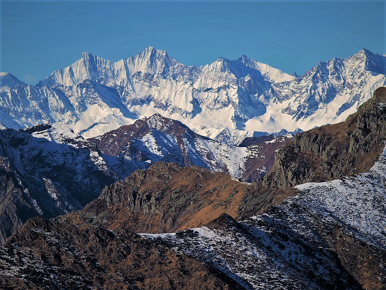 Stands of the Valgrande, with the weissmiess in the backgrou...