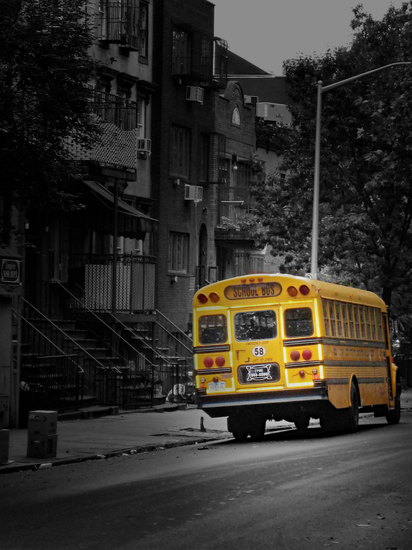 School Bus