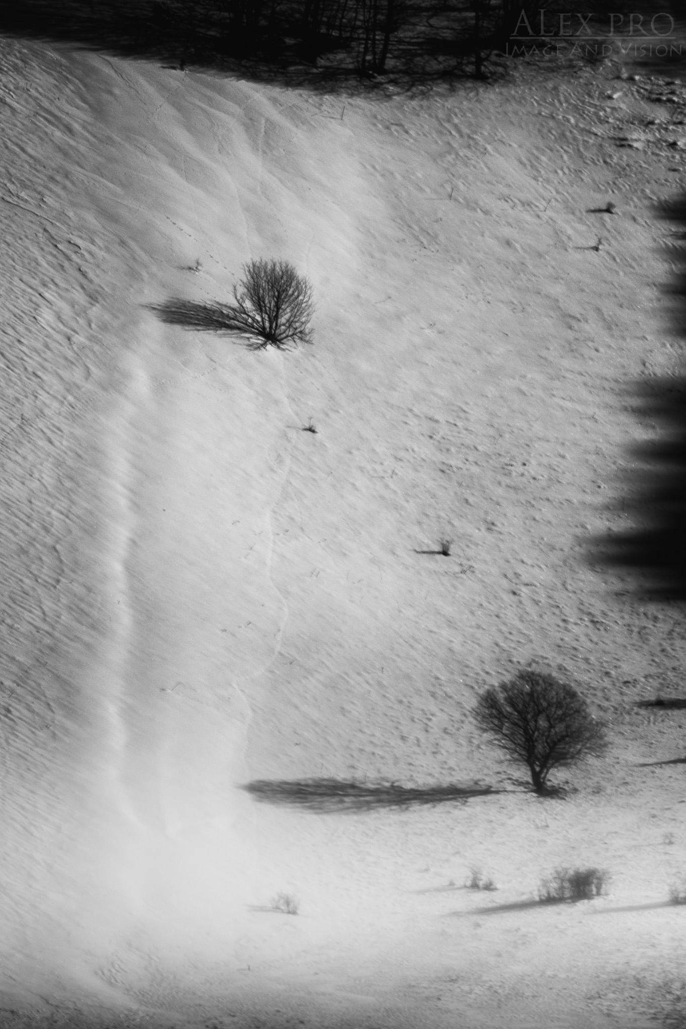 Piana di Castelluccio di Norcia