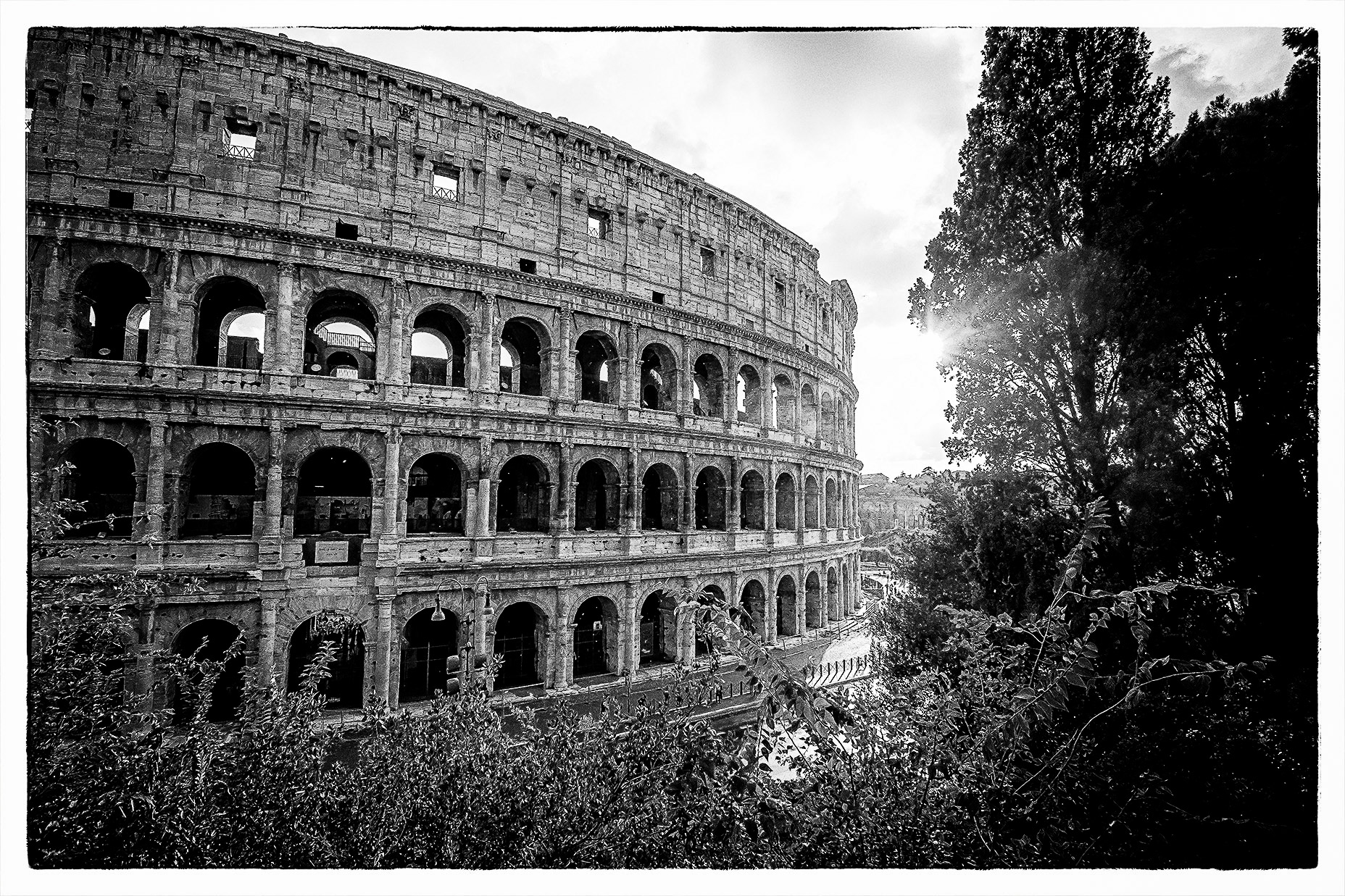 Colosseum Lateral View