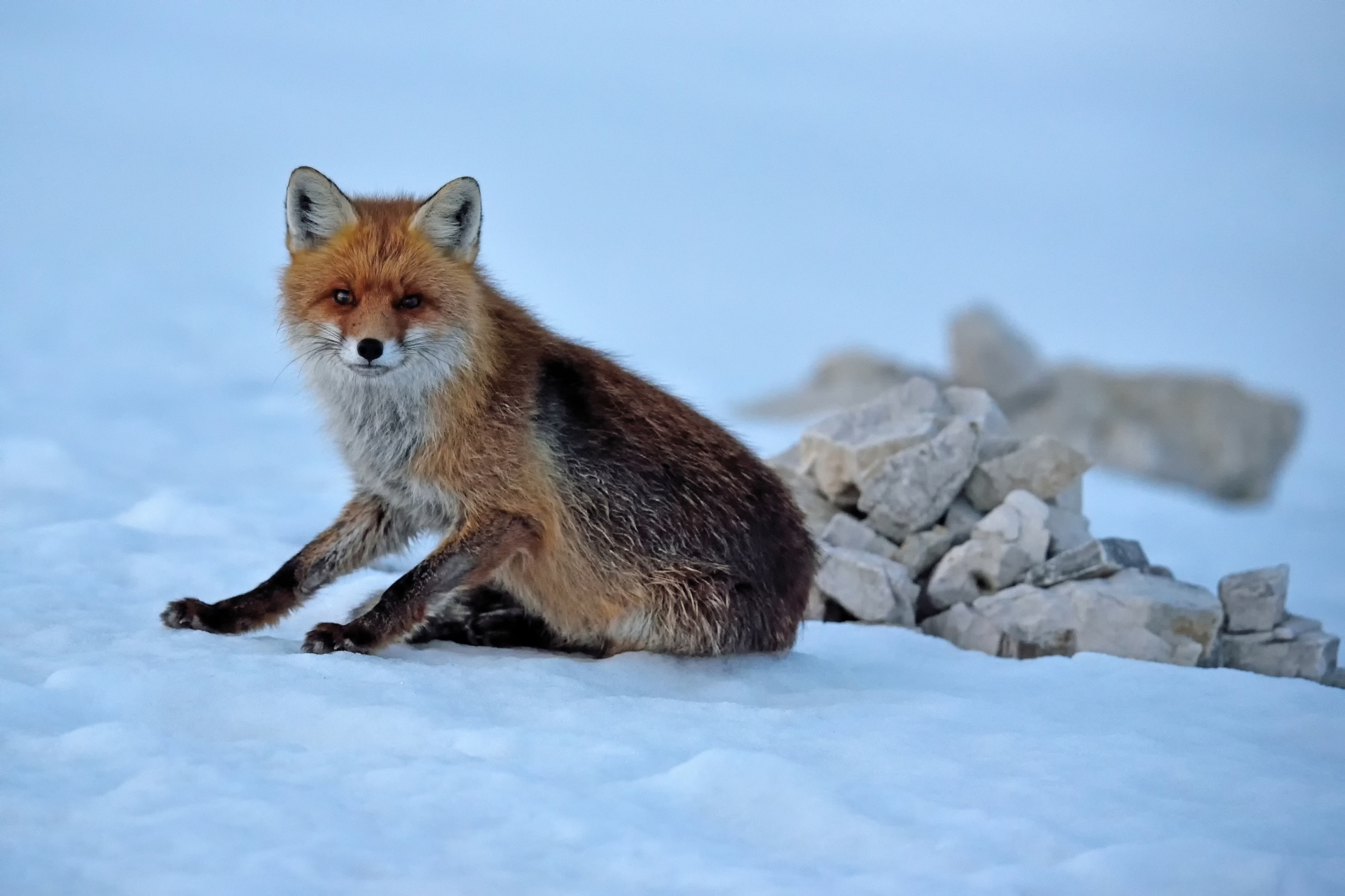 Incontro sempre gradito 2
