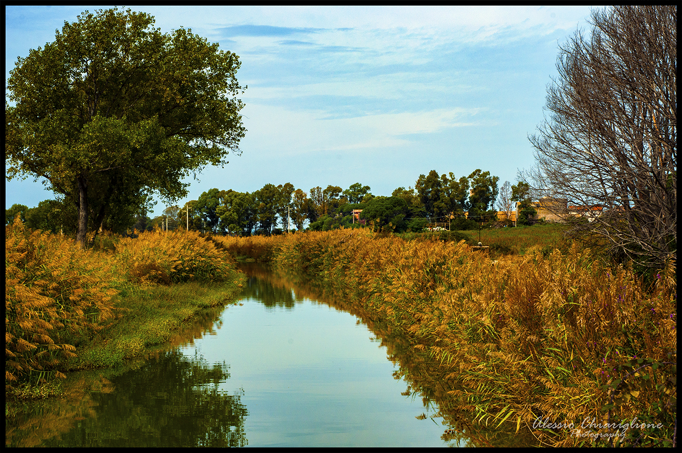 Canale di Maccarese_ Roma