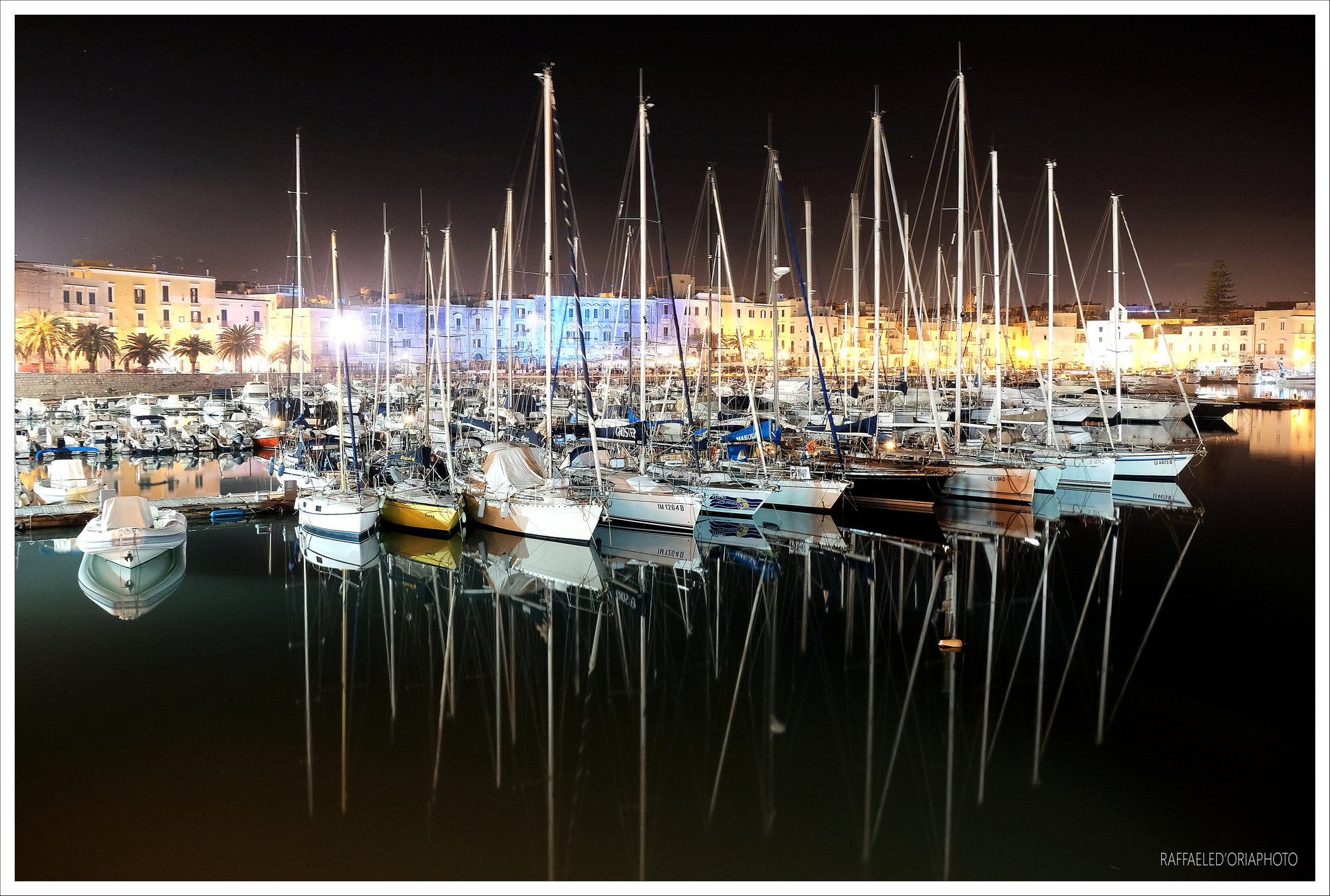 Trees in the port of Trani