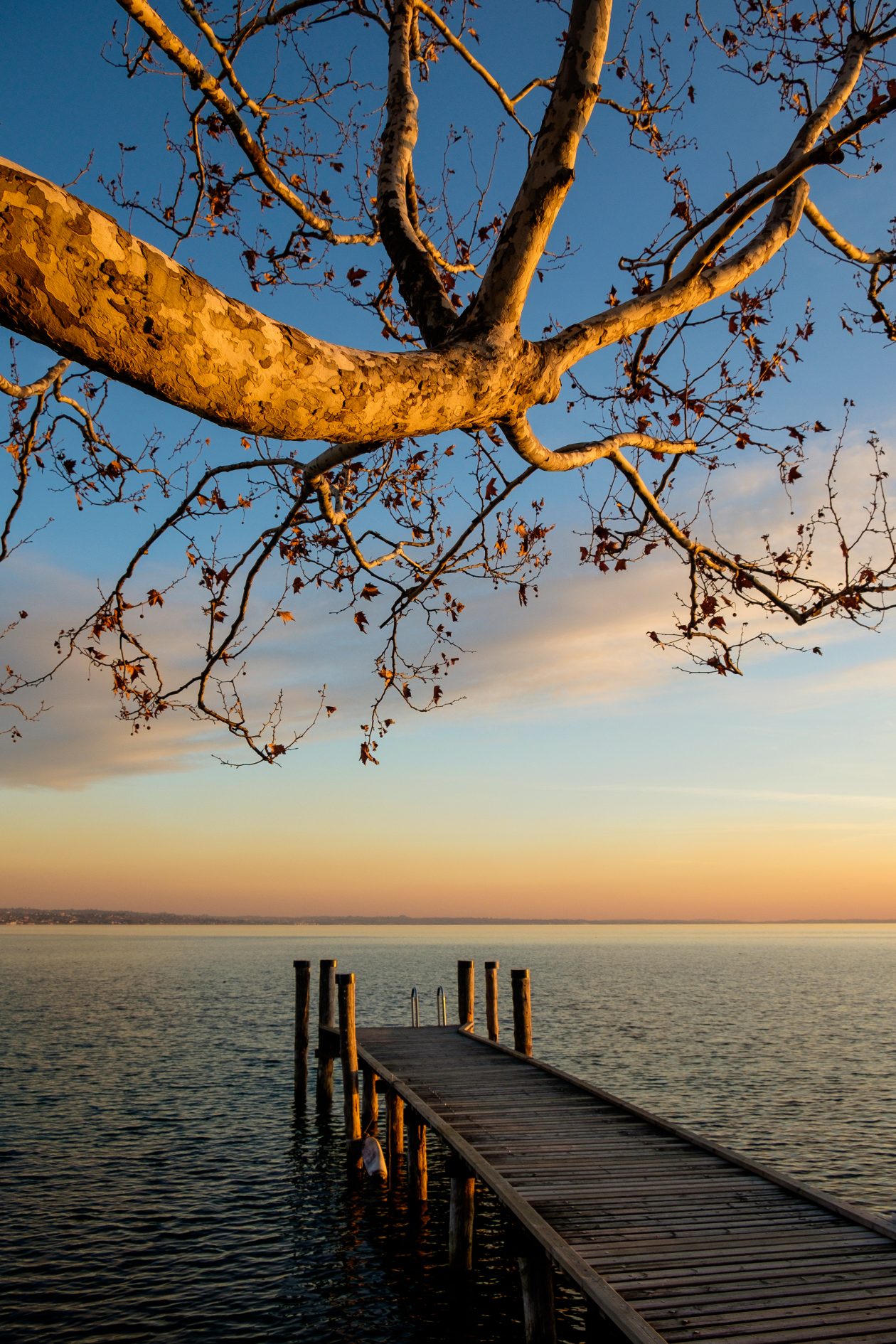 protesi verso l'acqua
