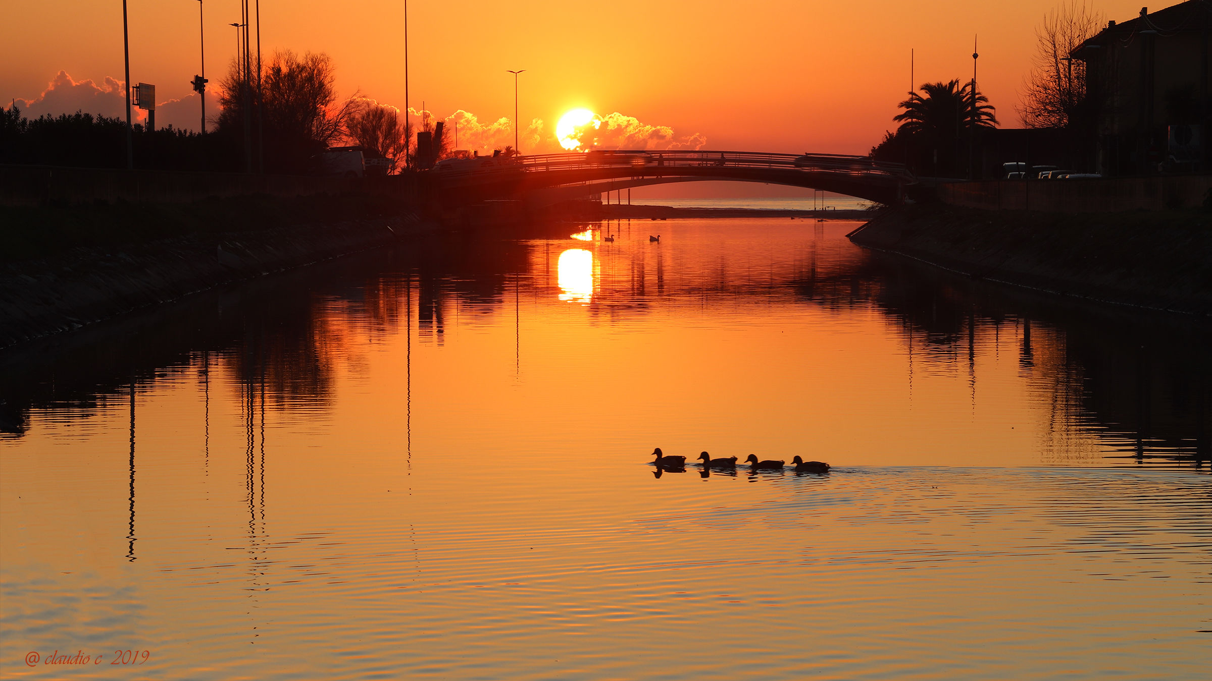 The Ducks and the sunset
