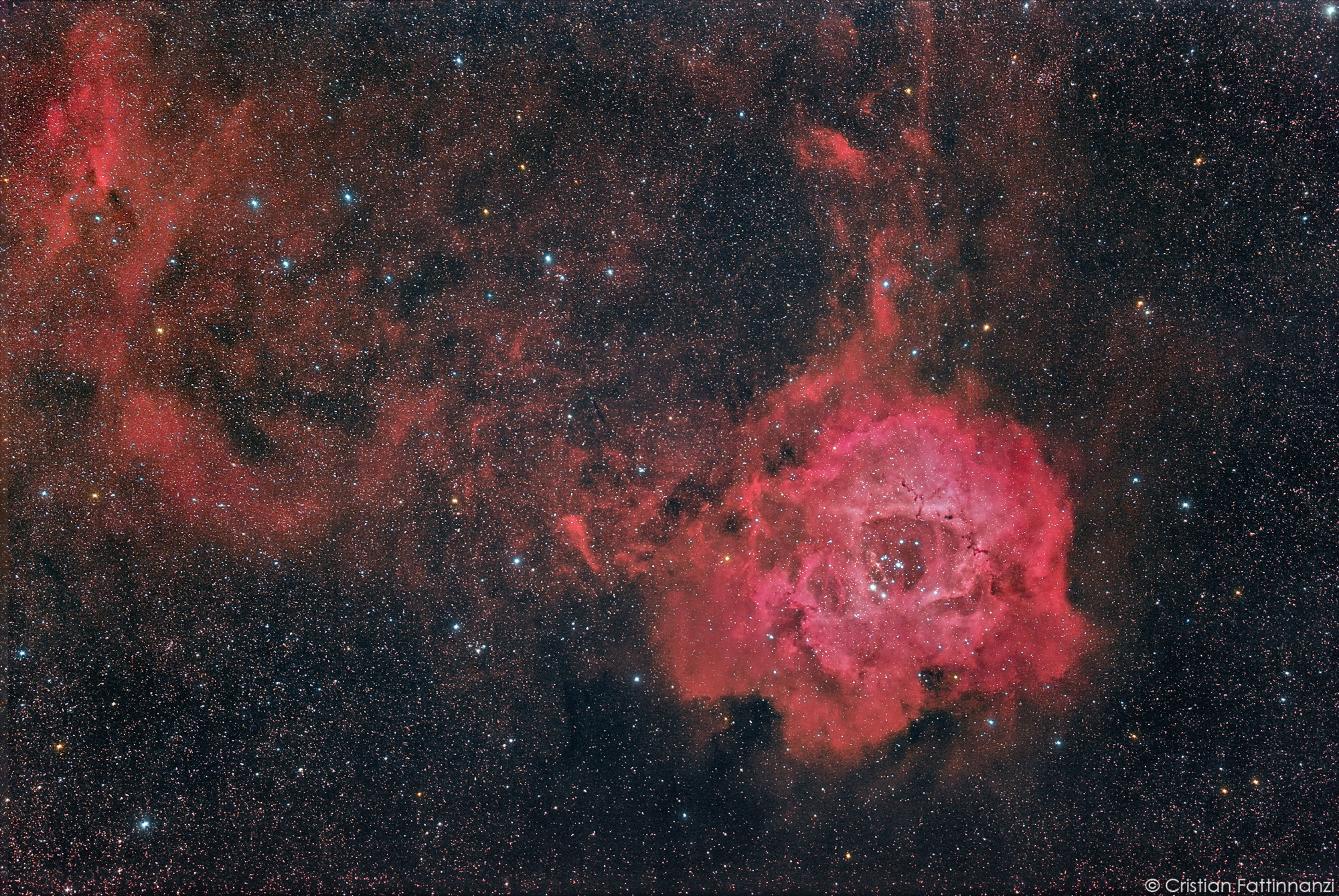 NGC2237-The rose on the branch