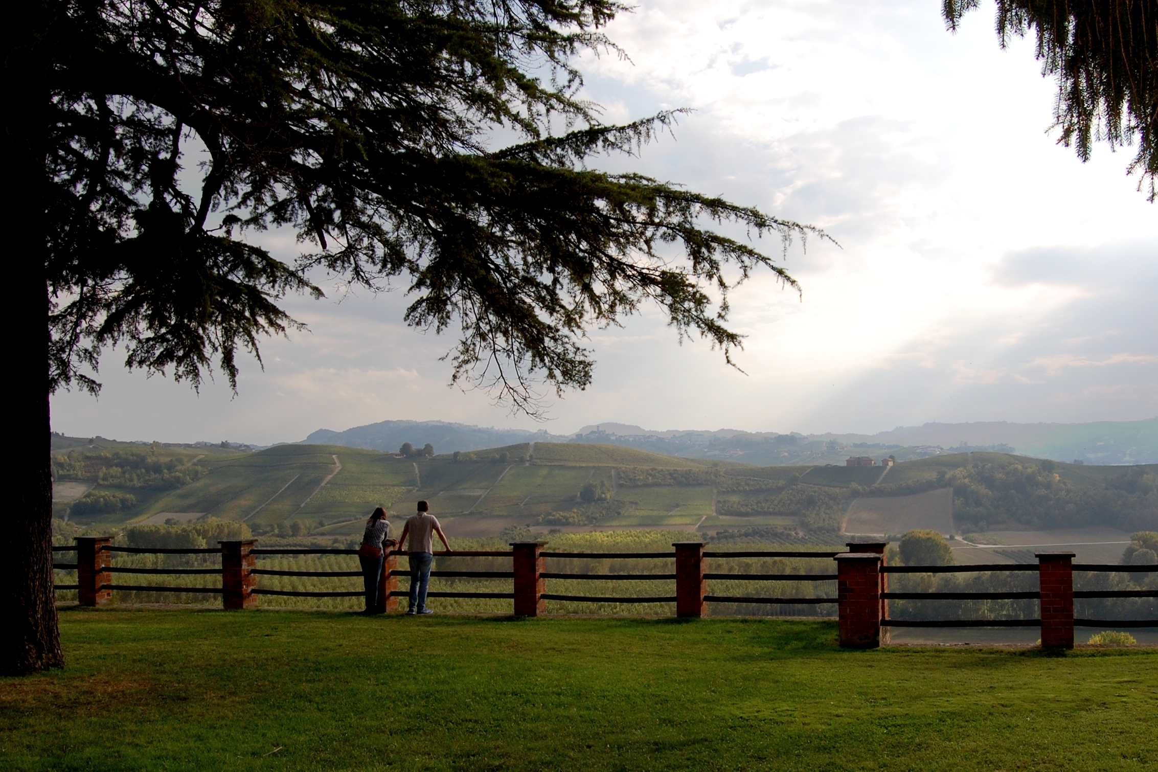 La cornice delle Langhe