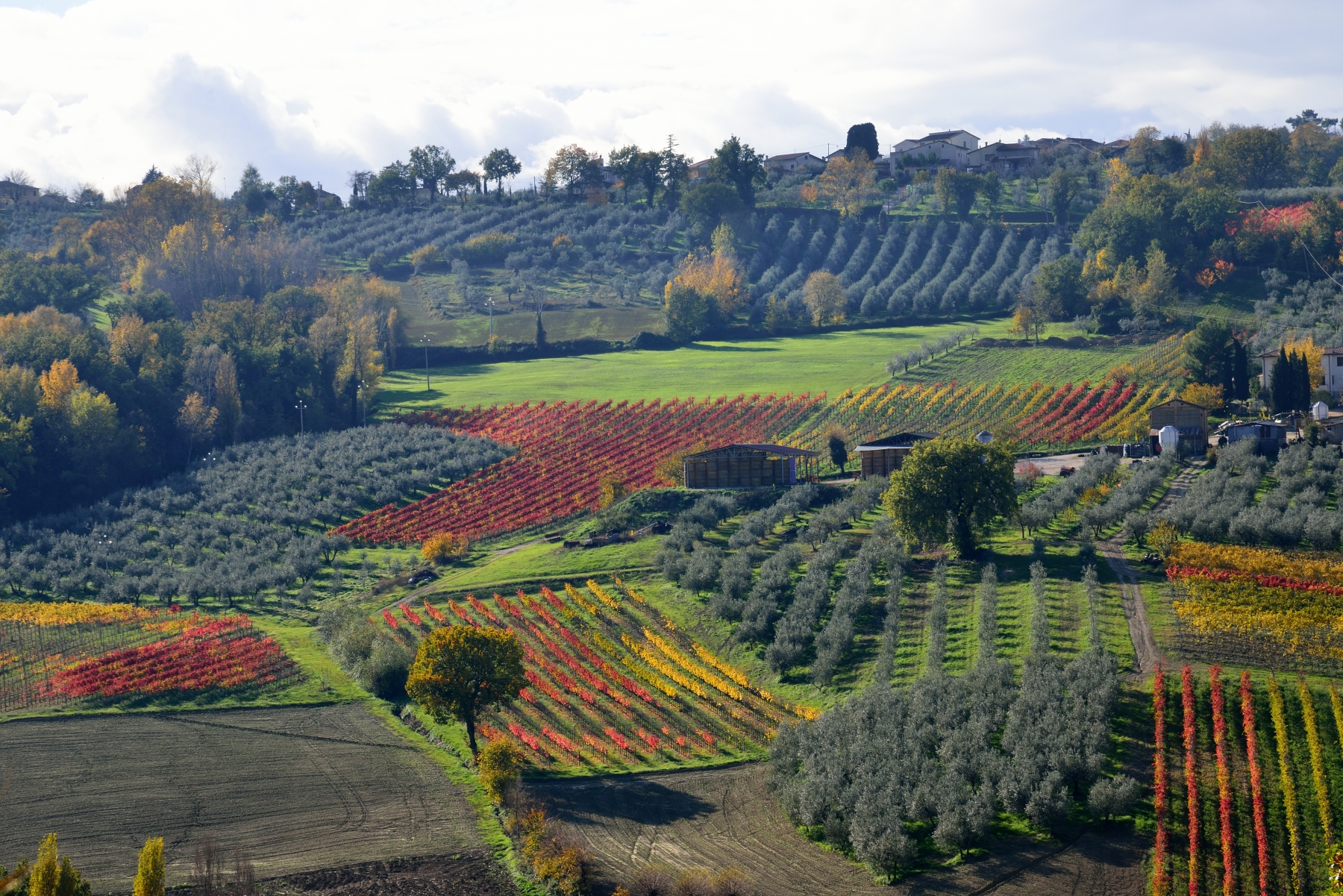 Umbrian landscape in autumn (Hills Colfiorito)