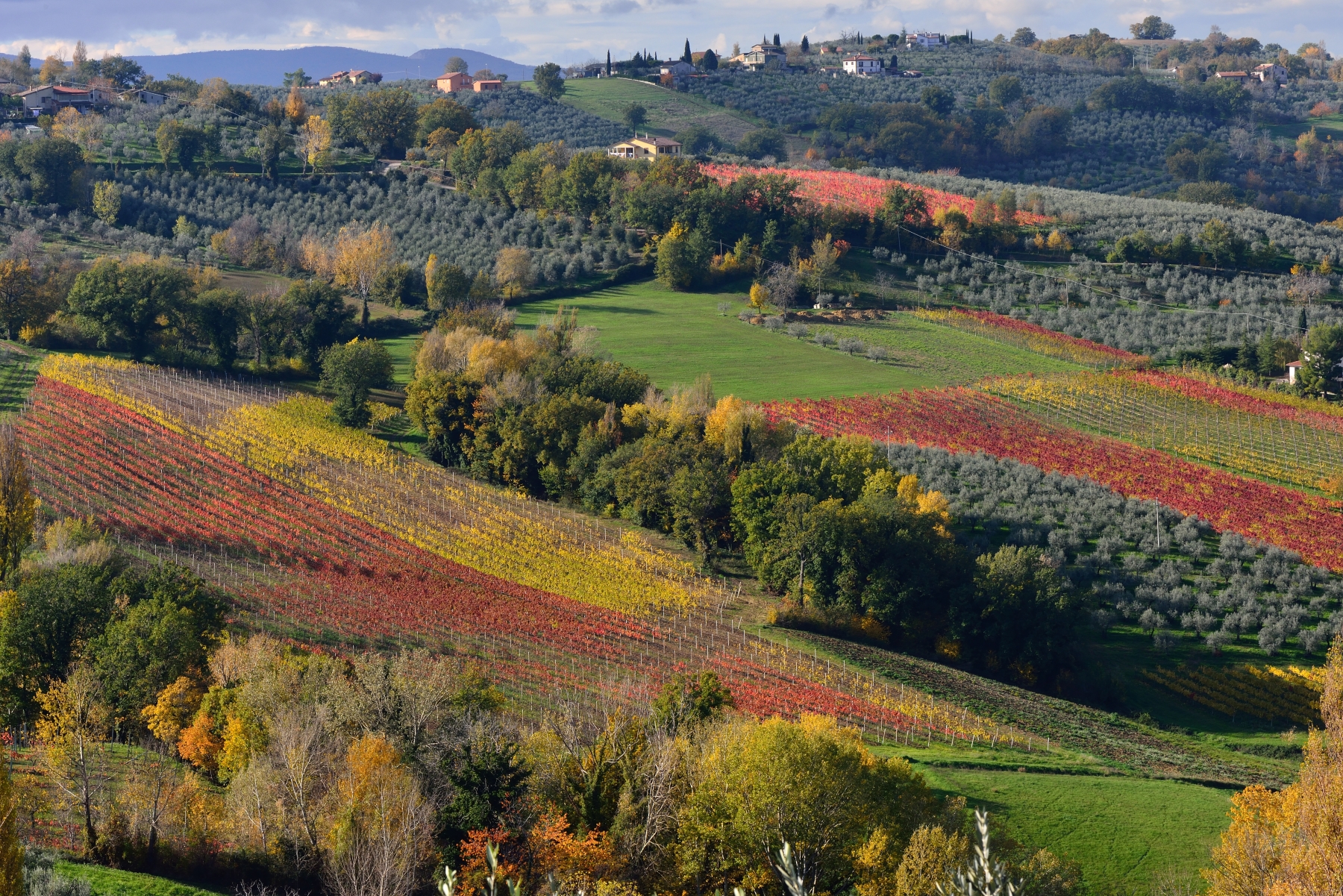 Le mcolline del Sagrantino - Montefalco