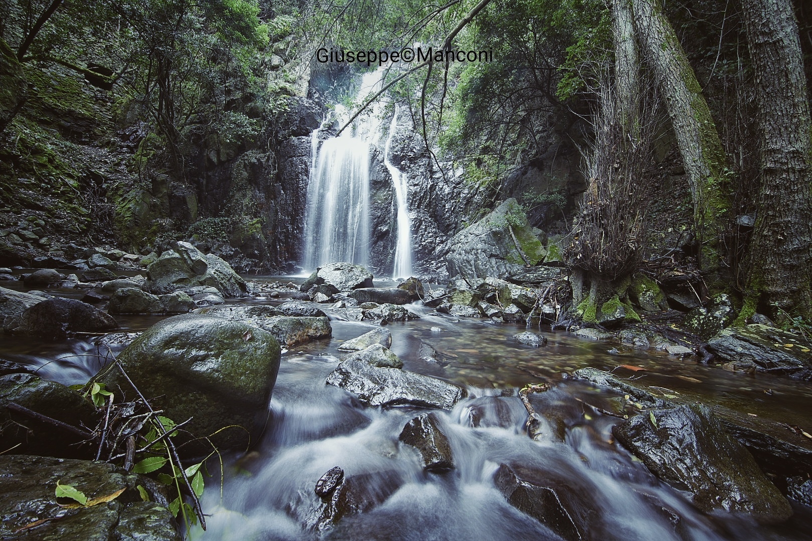 The abundant rains make the nature magnificent. (sardeg